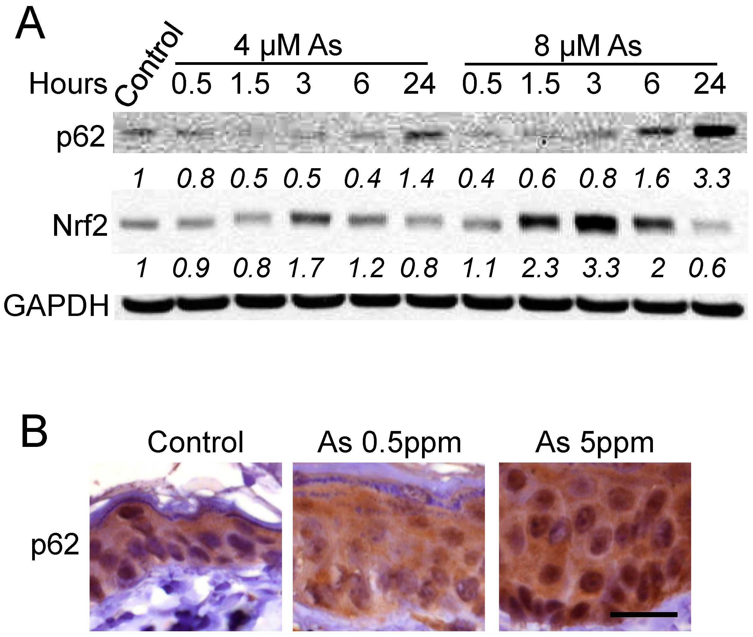 Molecules 22 00194 g001