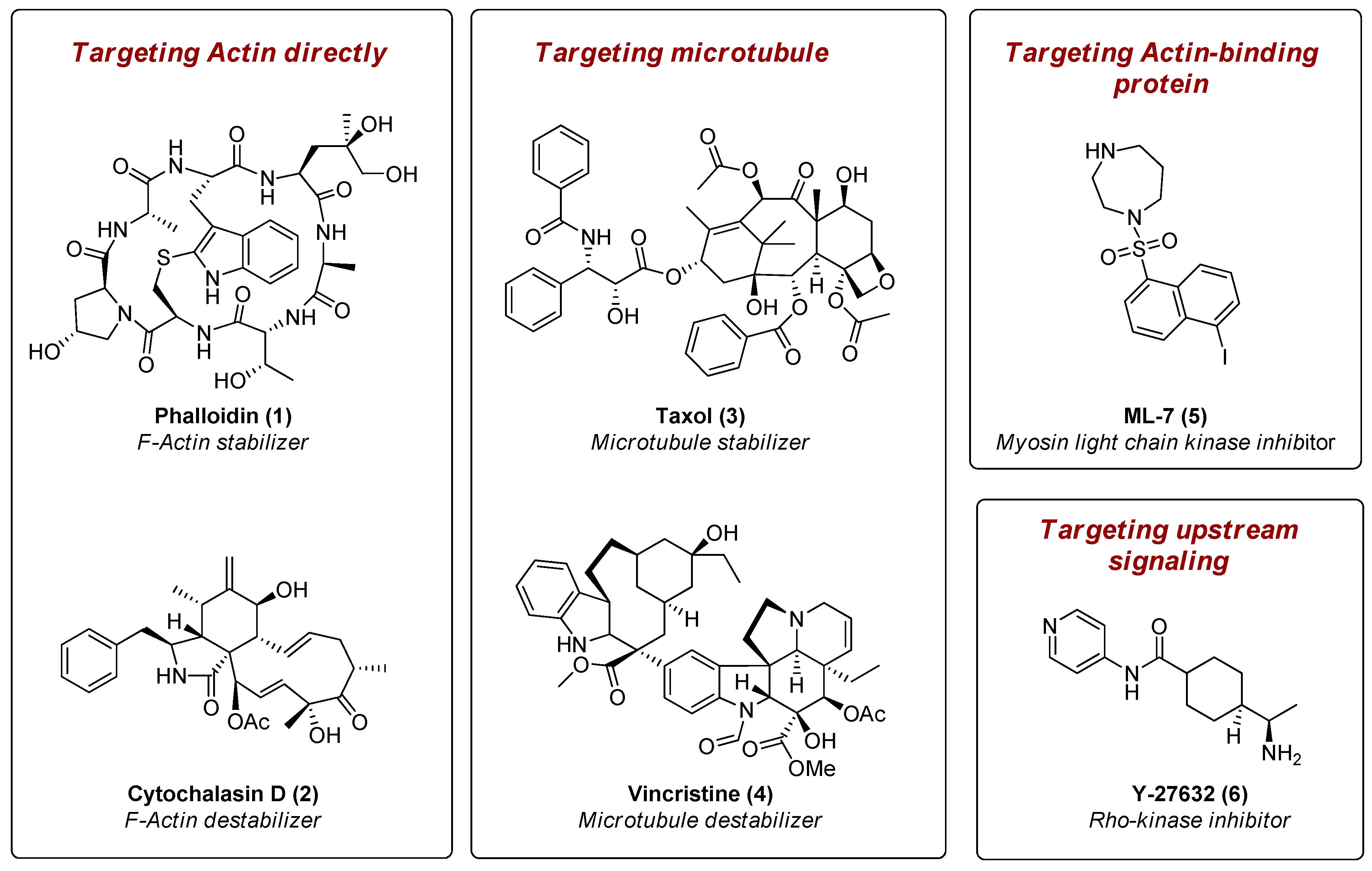 Molecules 22 00198 g001