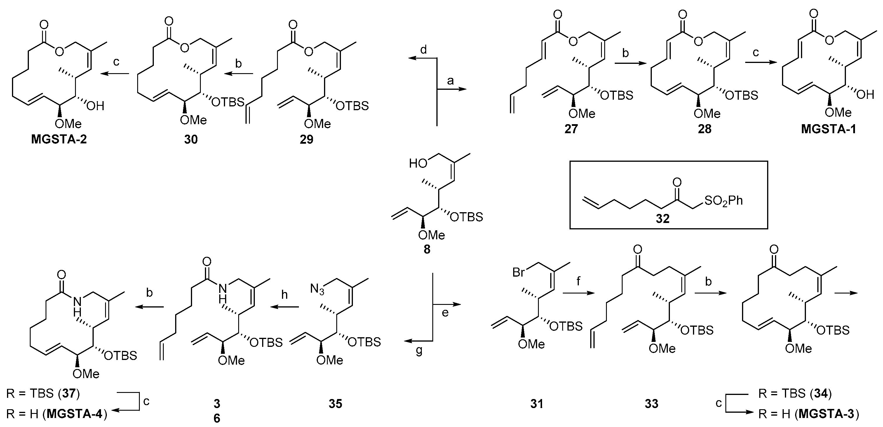 Molecules 22 00198 sch003