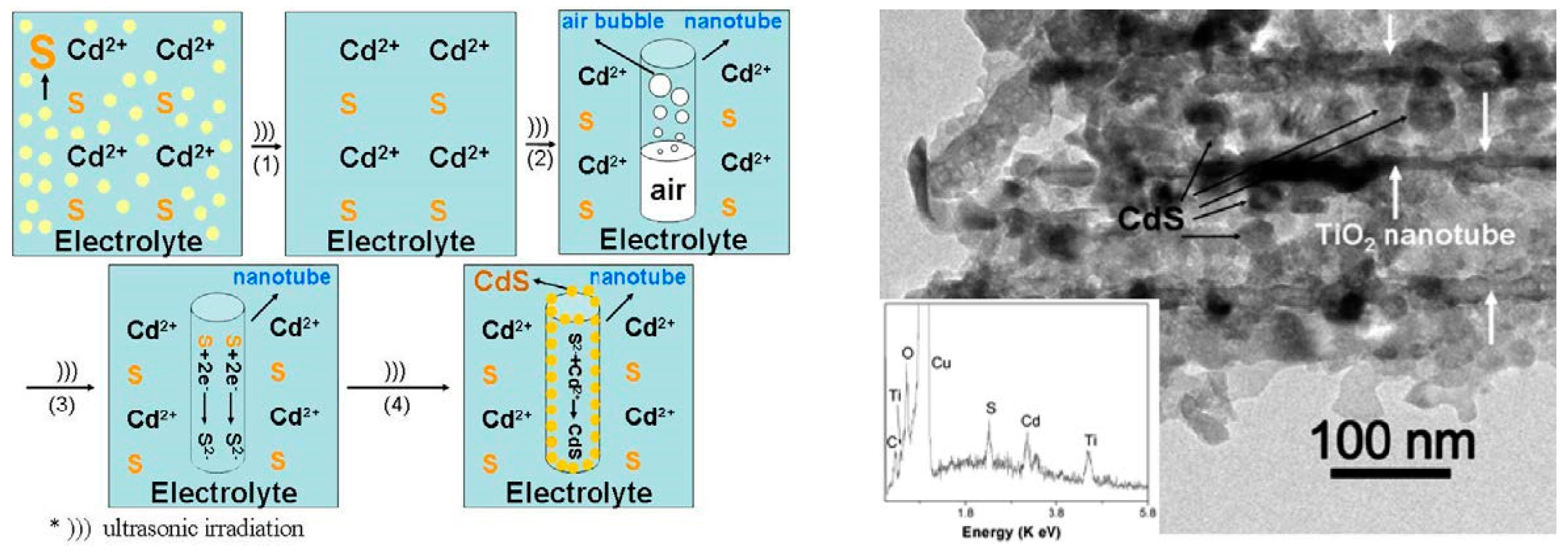 Molecules 22 00216 g007