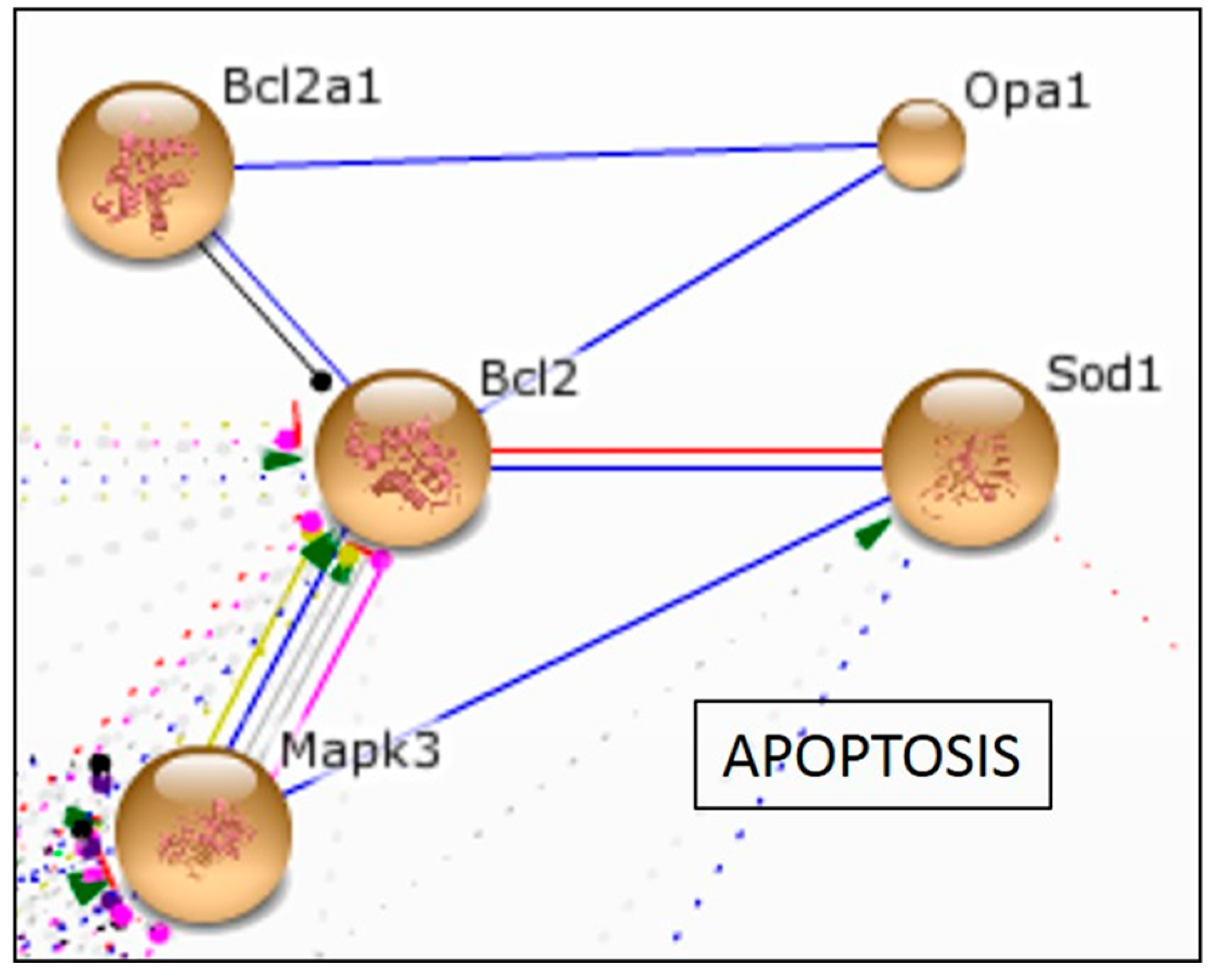 Molecules 22 00219 g004