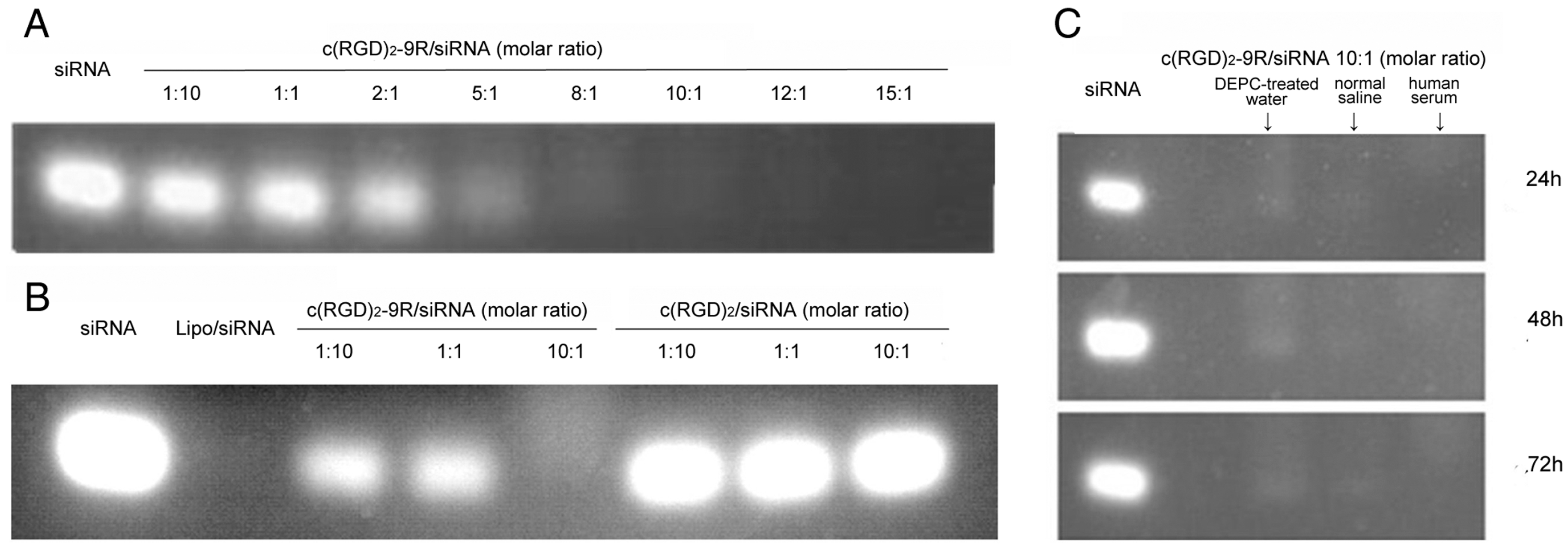 Molecules 22 00231 g002