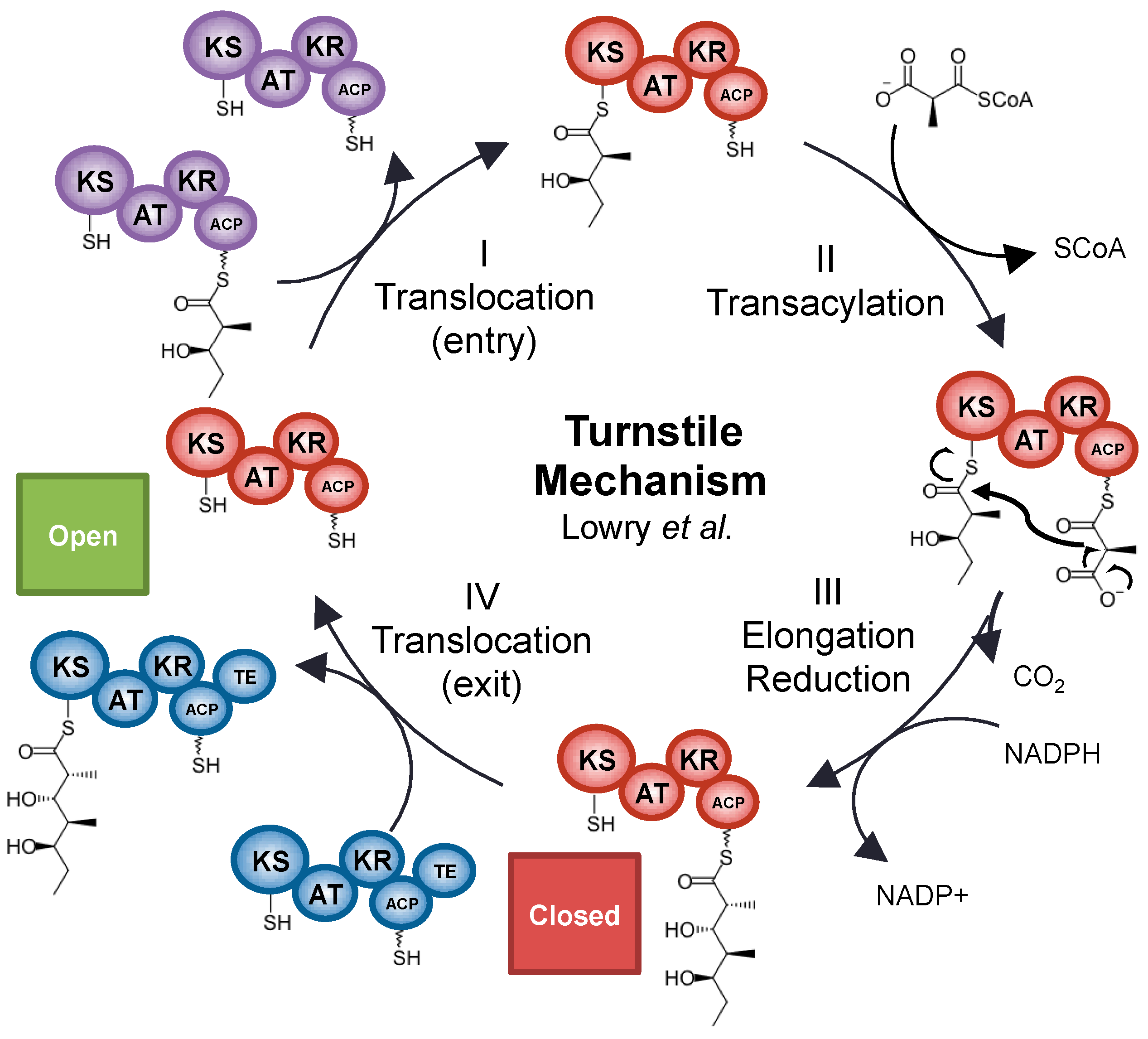 Molecules 22 00235 g004