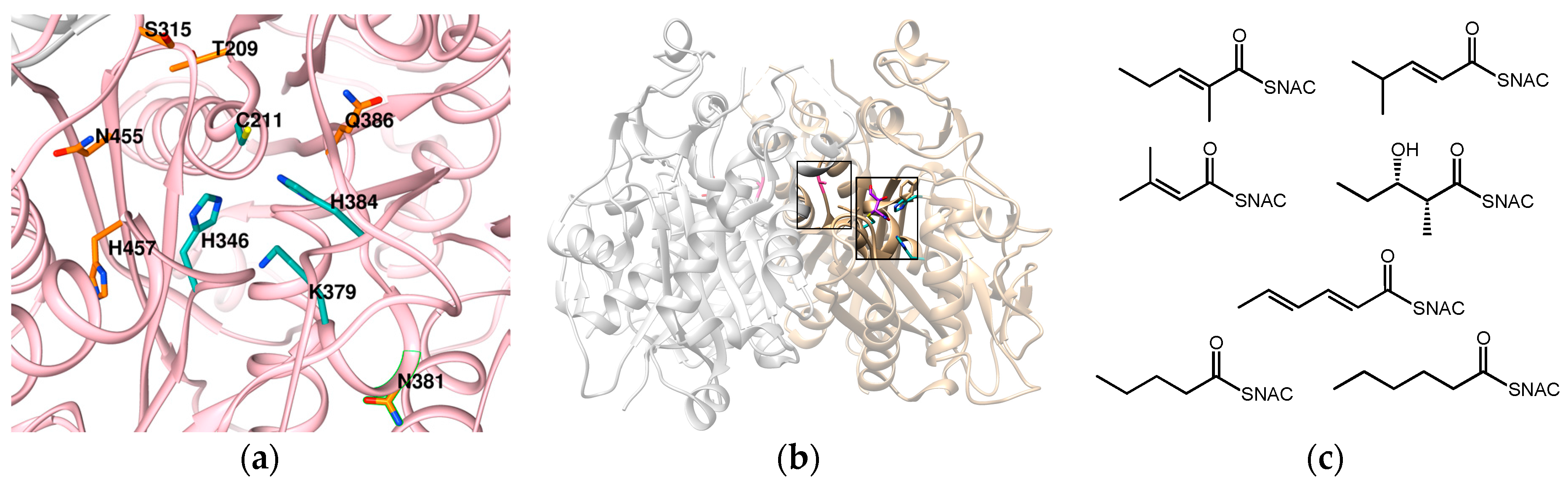 Molecules 22 00235 g006