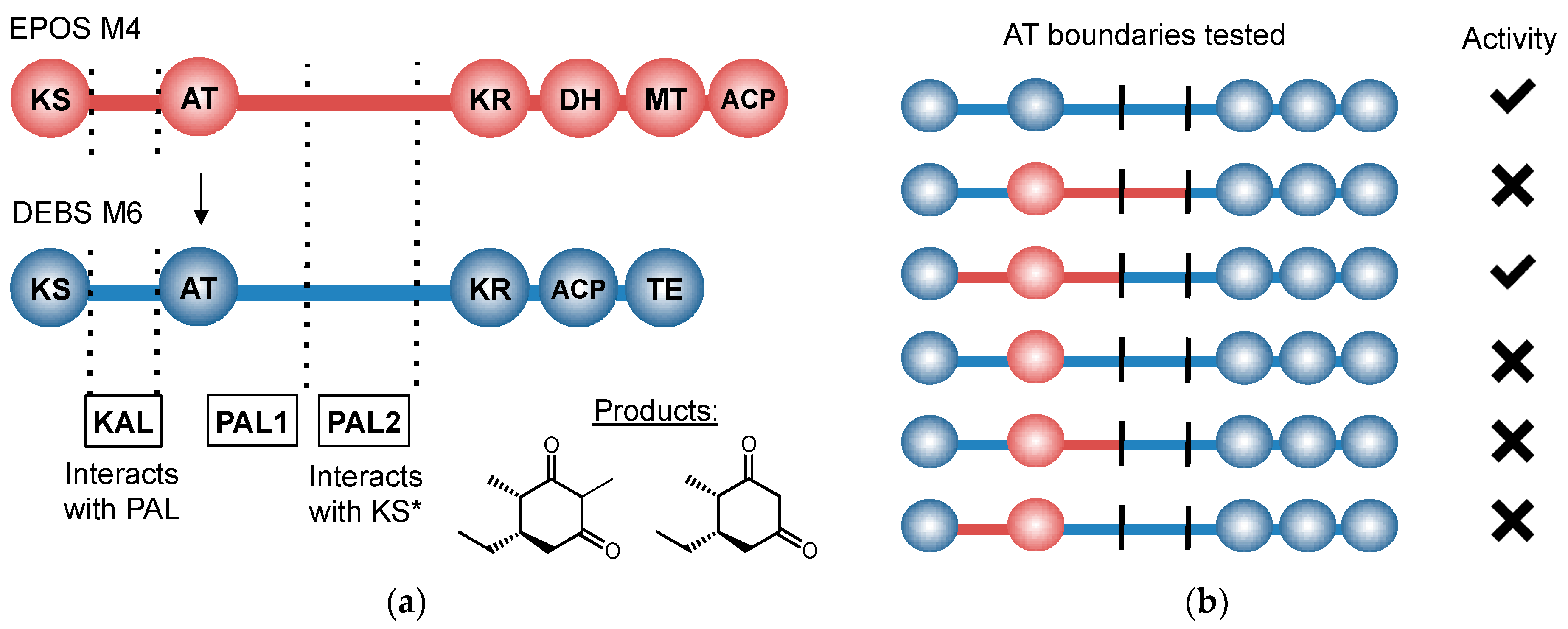 Molecules 22 00235 g007