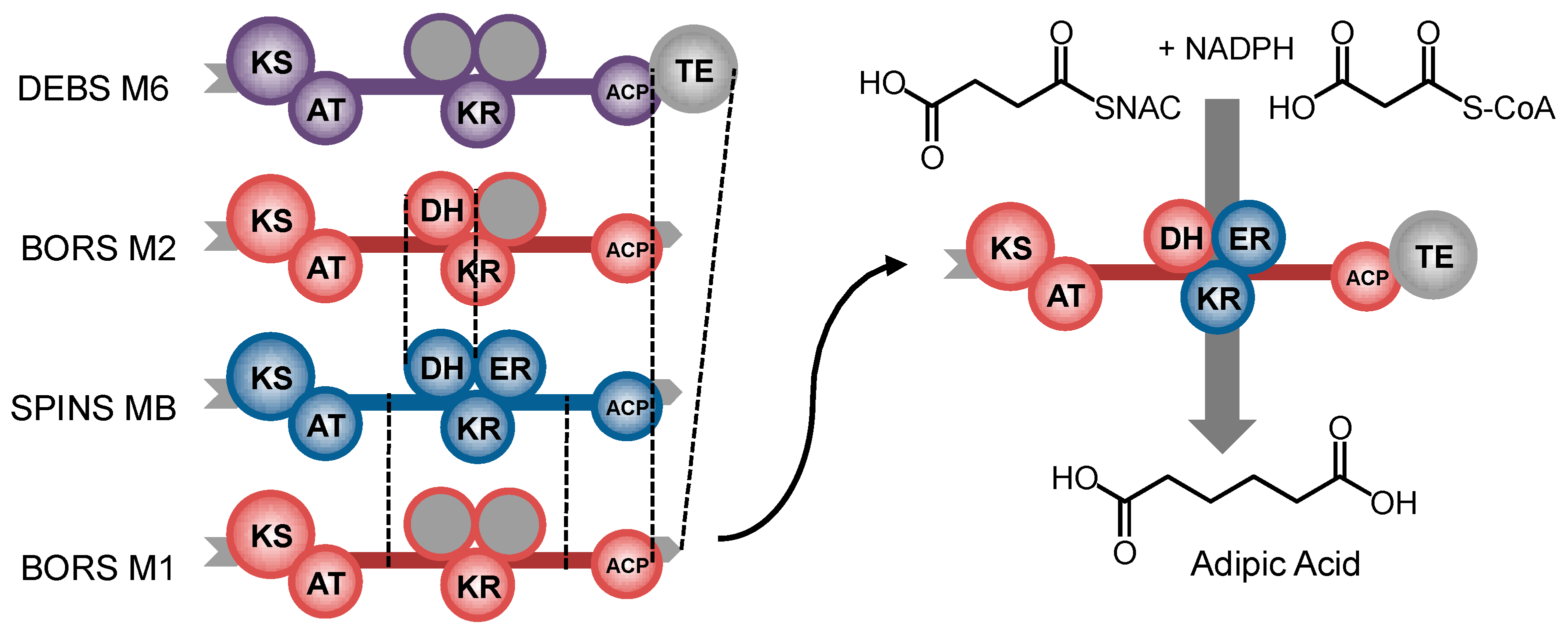 Molecules 22 00235 g009