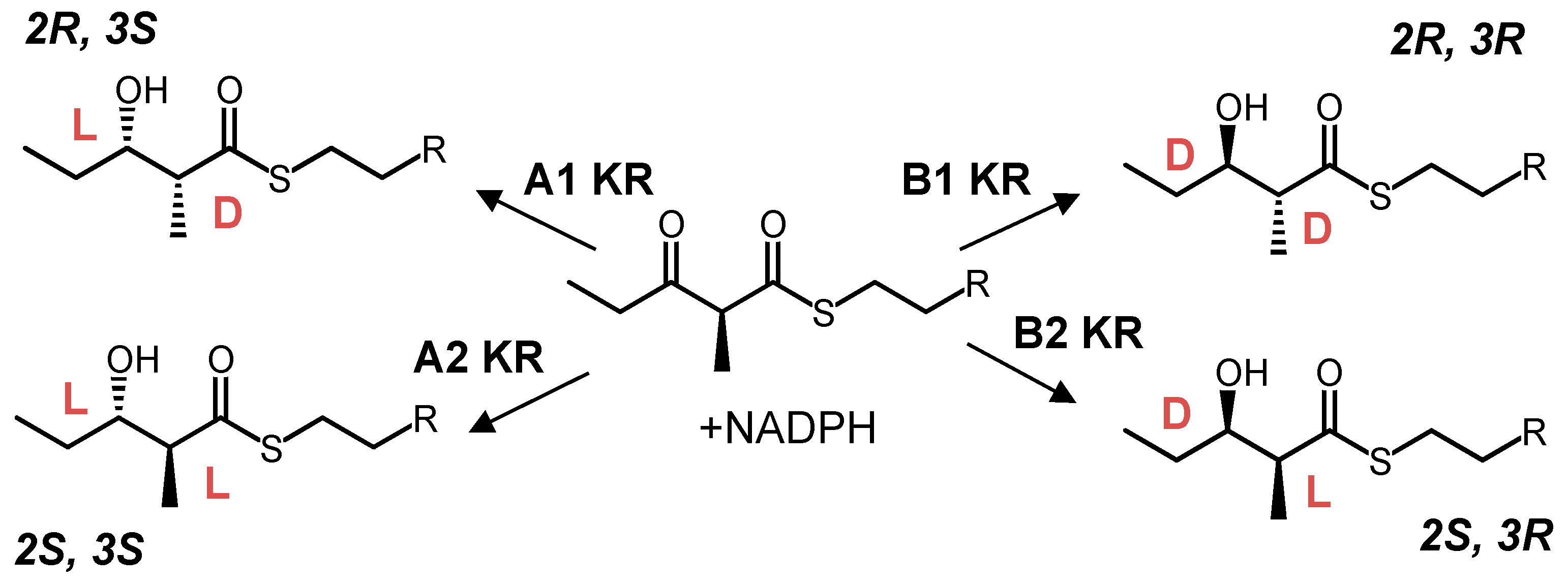 Molecules 22 00235 sch001