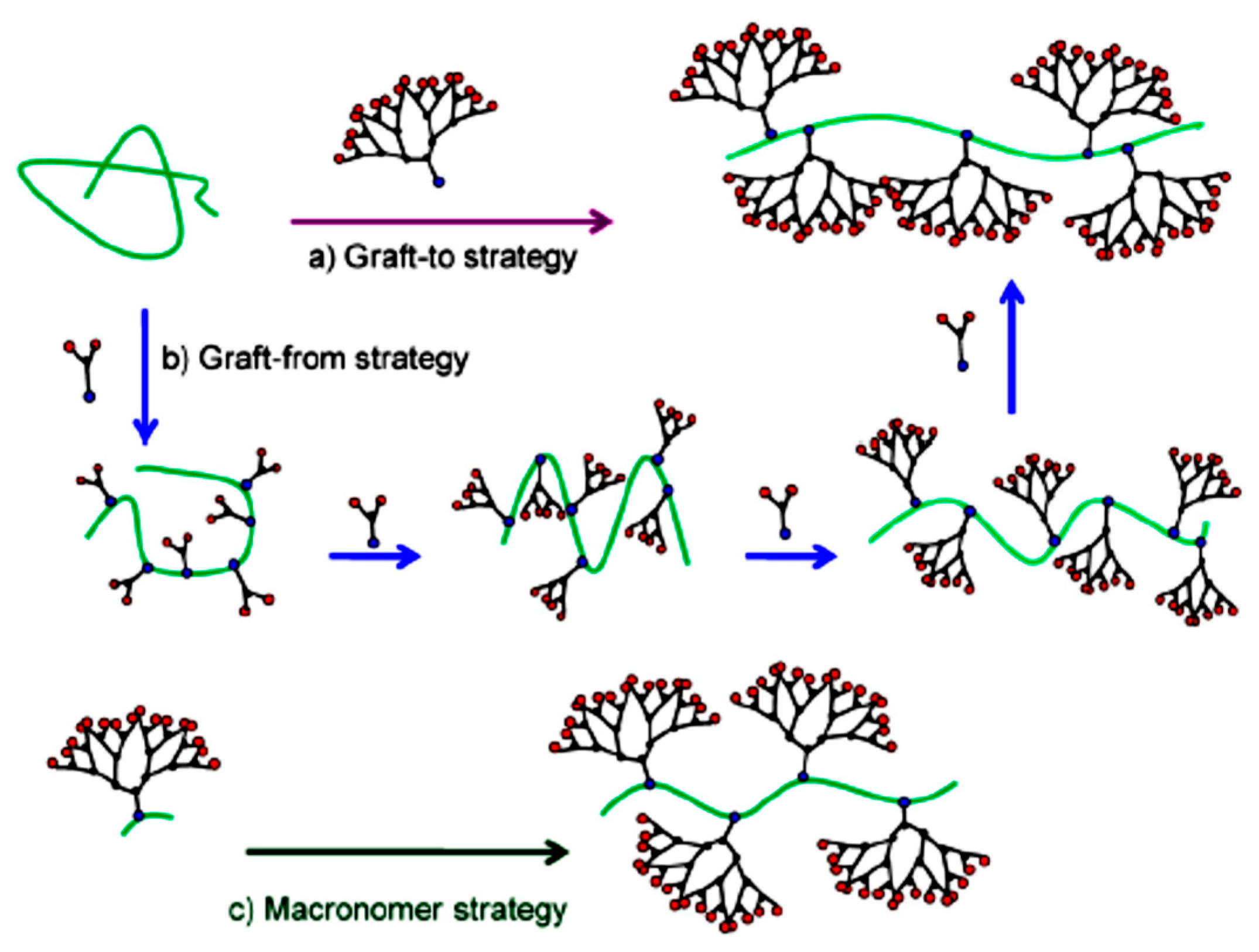 Molecules 22 00243 g001 550