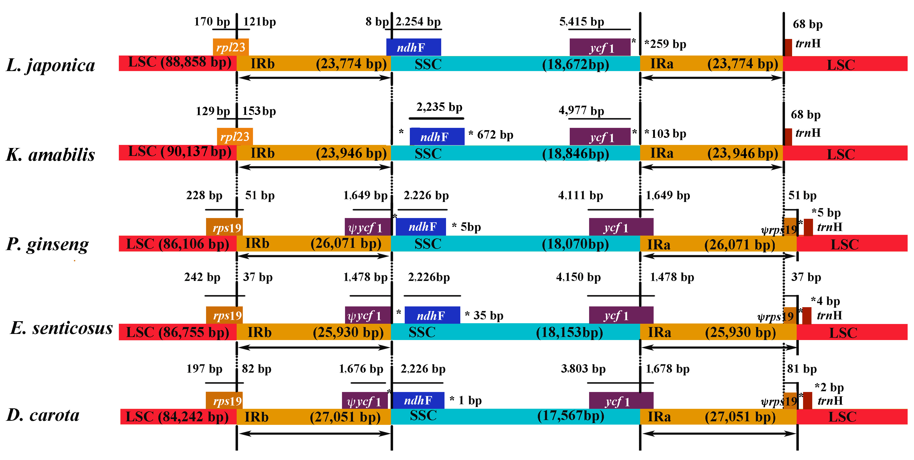 その他 Foundation Fe3O4 Nanoparticles in Targeted Drug/Gene Delivery Systems