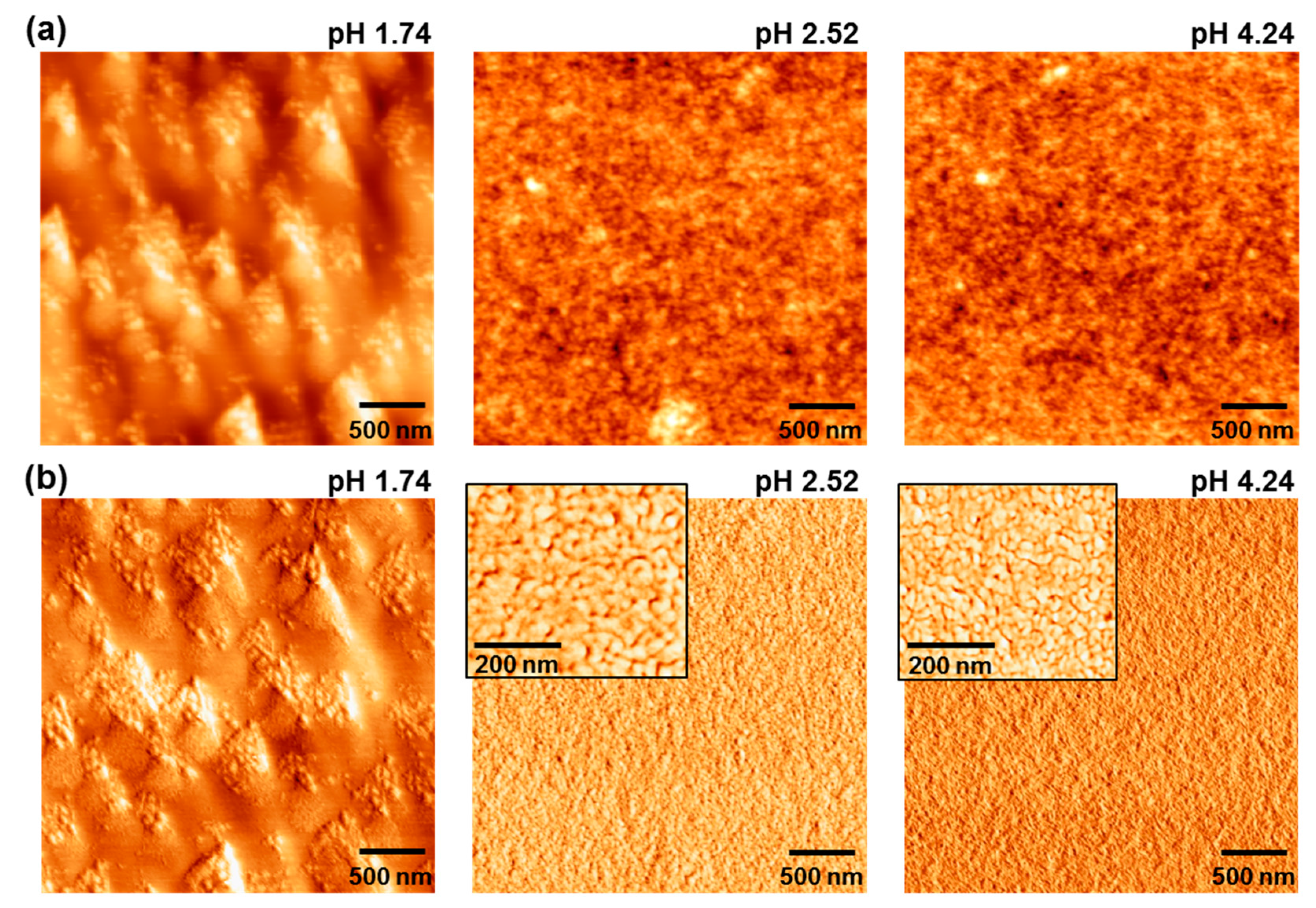 Molecules 22 00262 g004 550