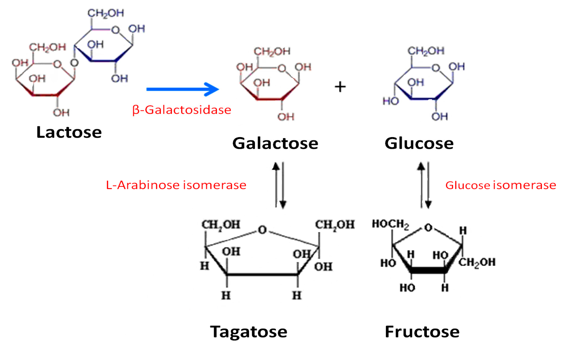 Molecules 22 00284 g001