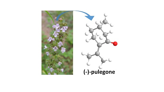 Molecules Free Full Text Calamintha Nepeta L Savi And Its