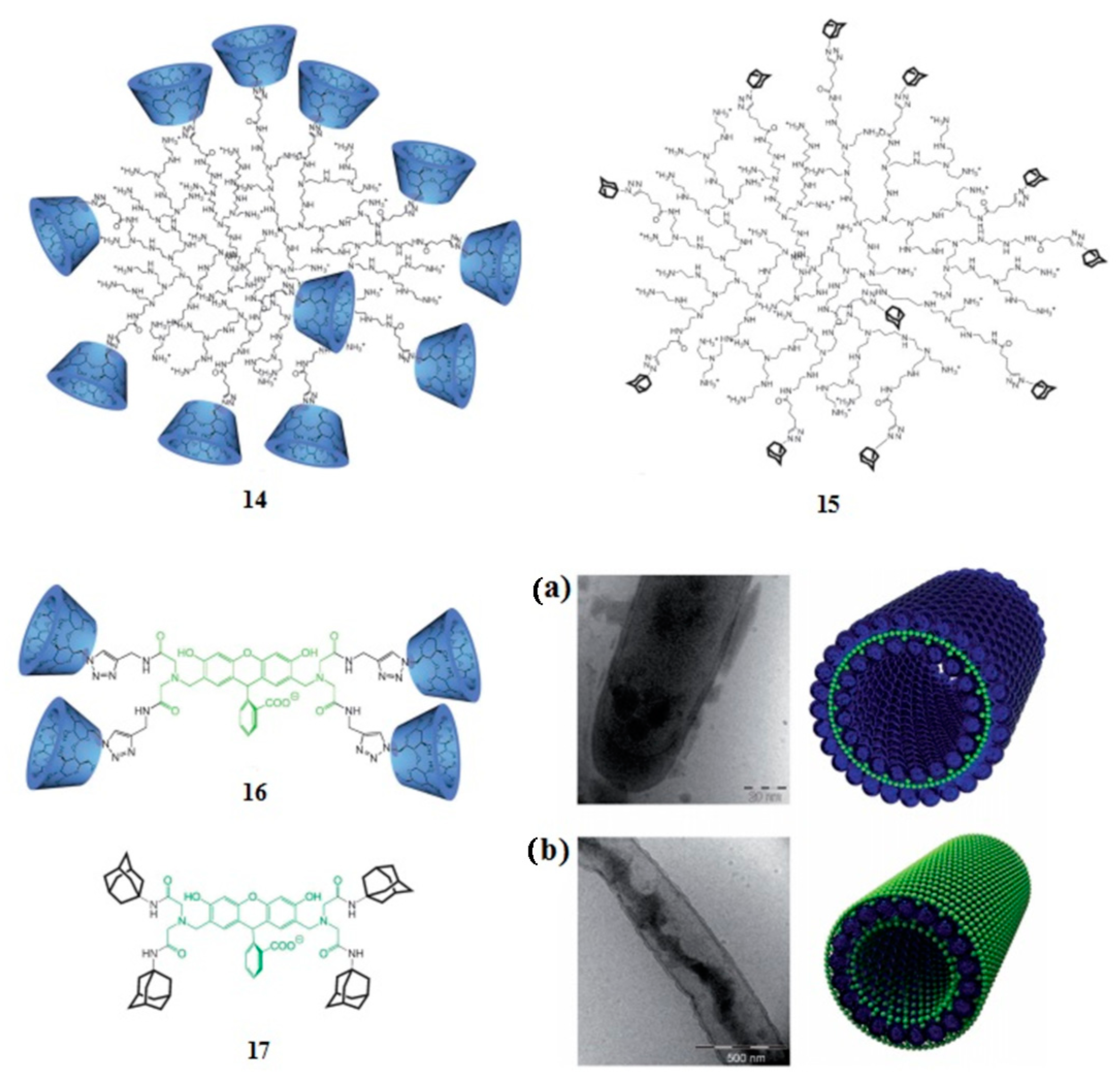Molecules 22 00297 g008