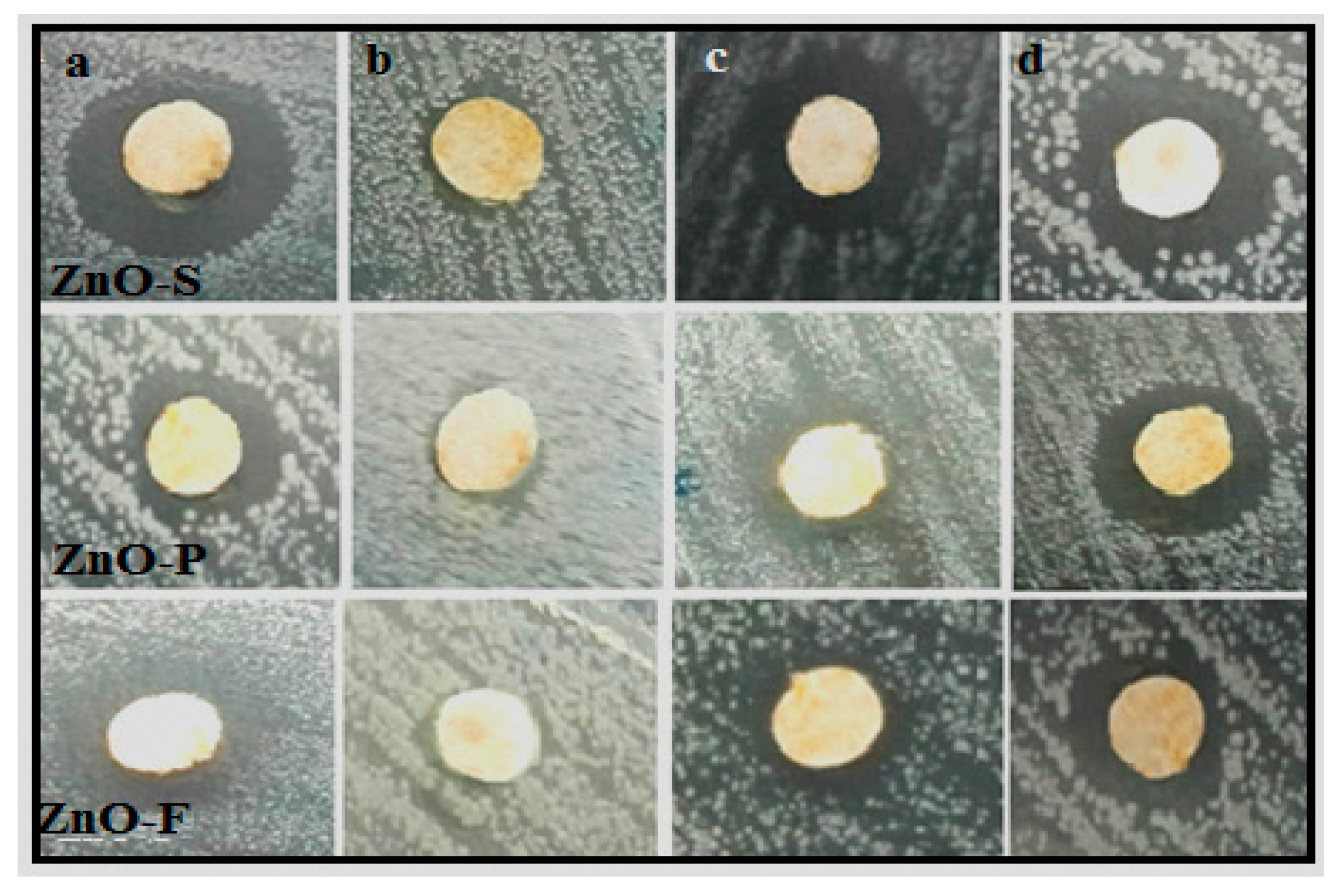 Molecules 22 00301 g009