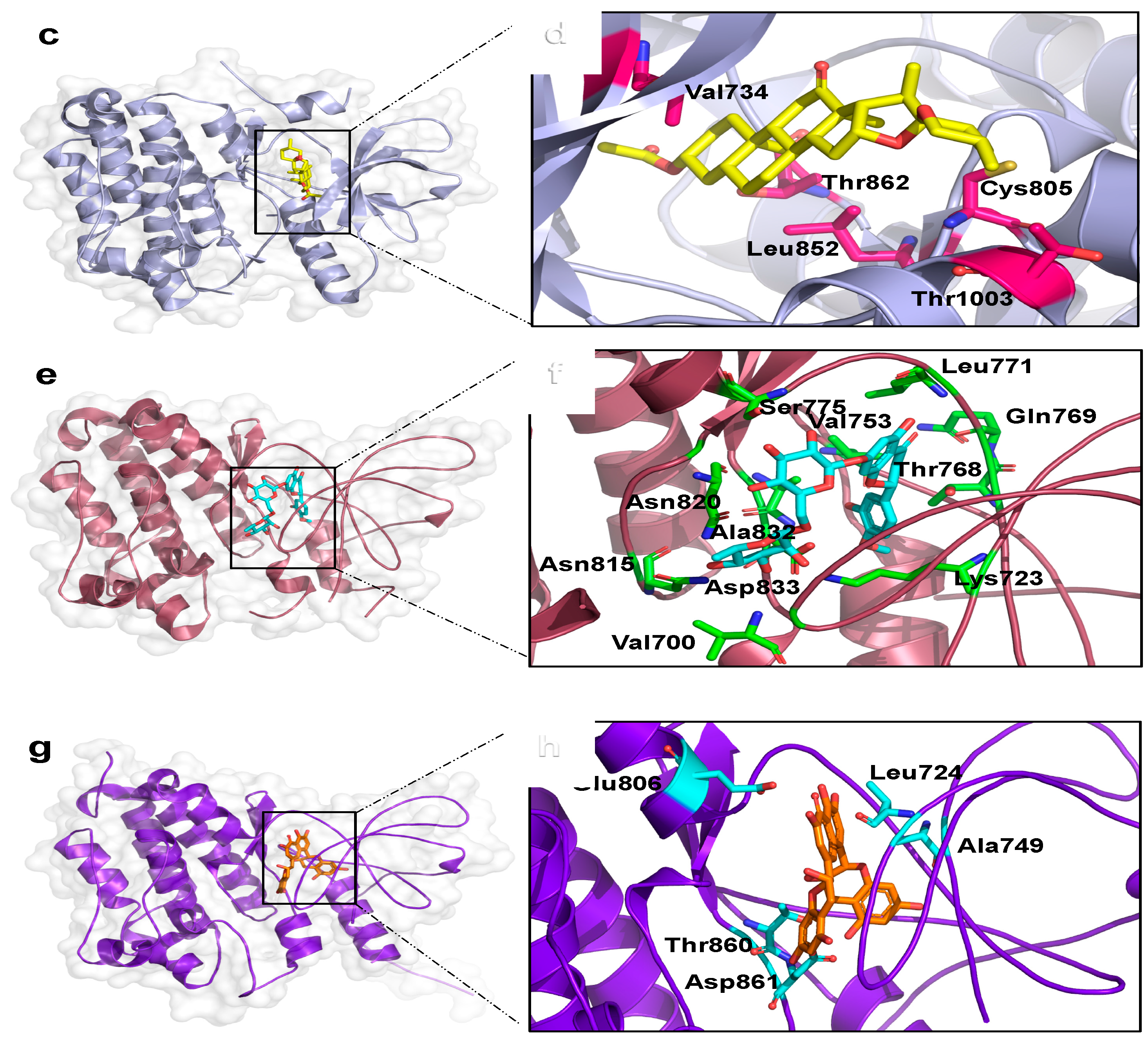 Molecules 22 00308 g004b 550
