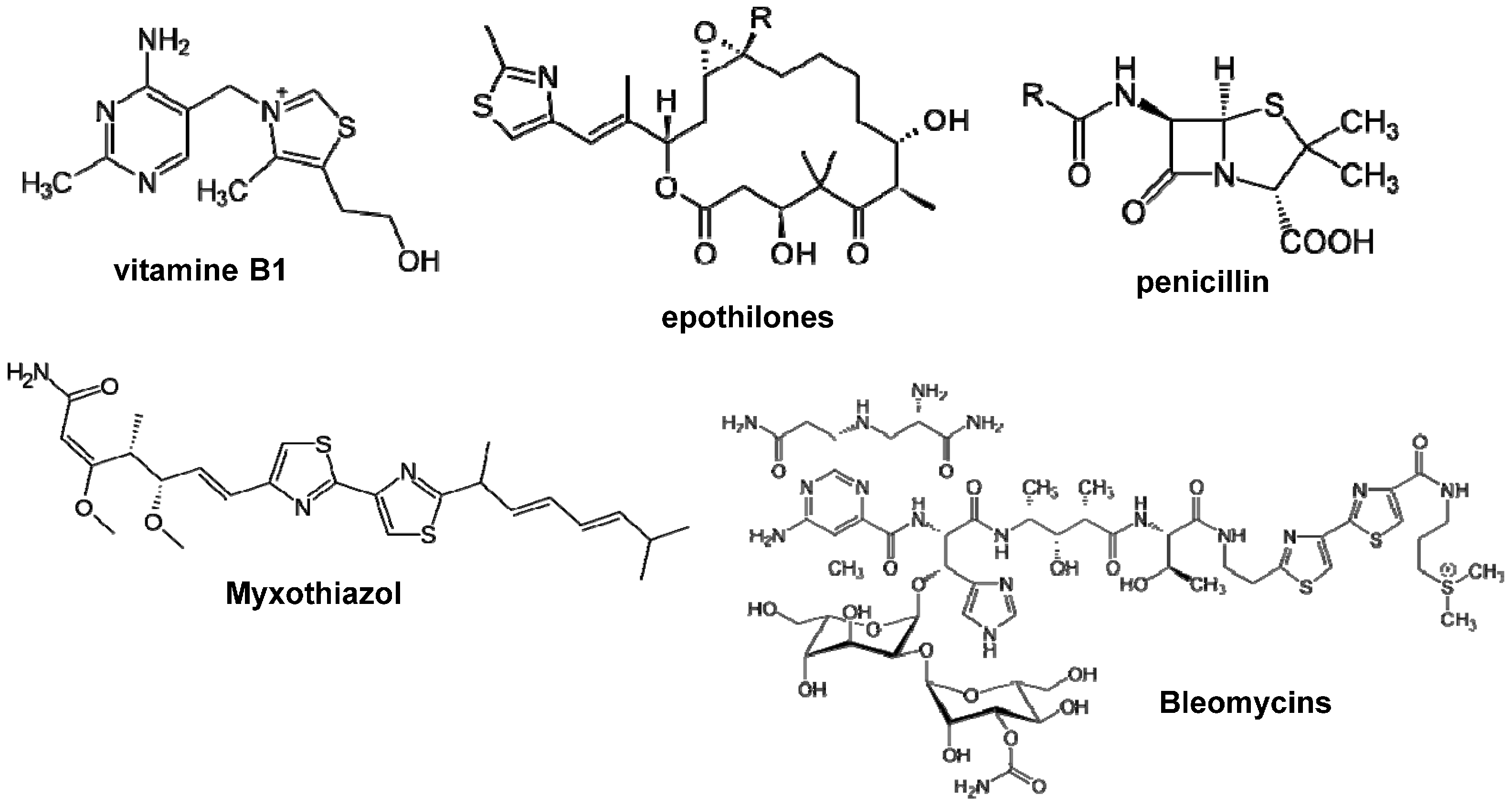 Molecules 22 00319 g002