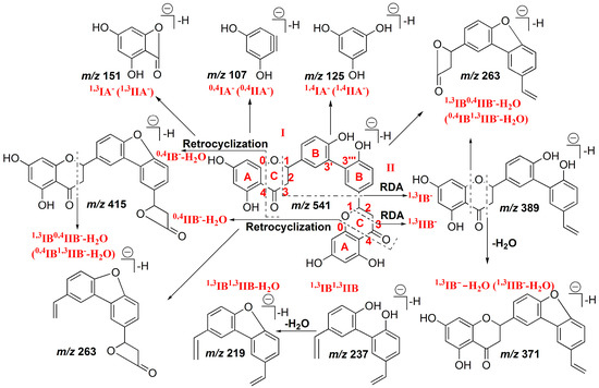 Molecules Free Full Text Analysis Of The Total Biflavonoids Extract From Selaginella Doederleinii By Hplc Qtof Ms And Its In Vitro And In Vivo Anticancer Effects Html