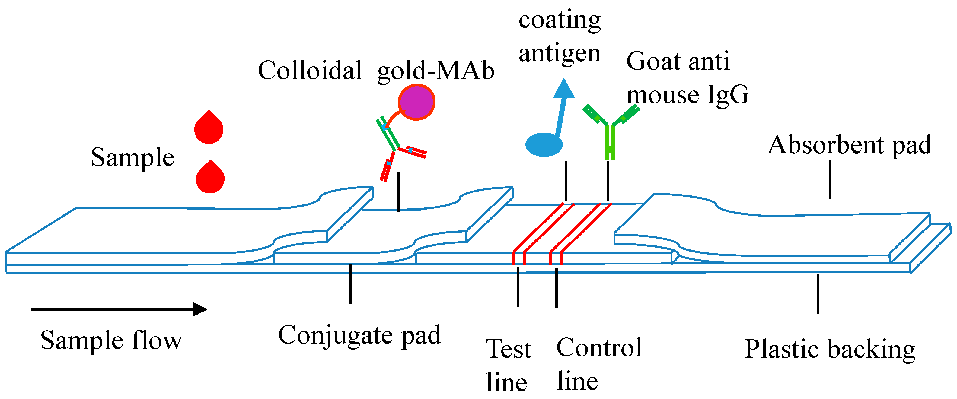 Molecules 22 00355 g003