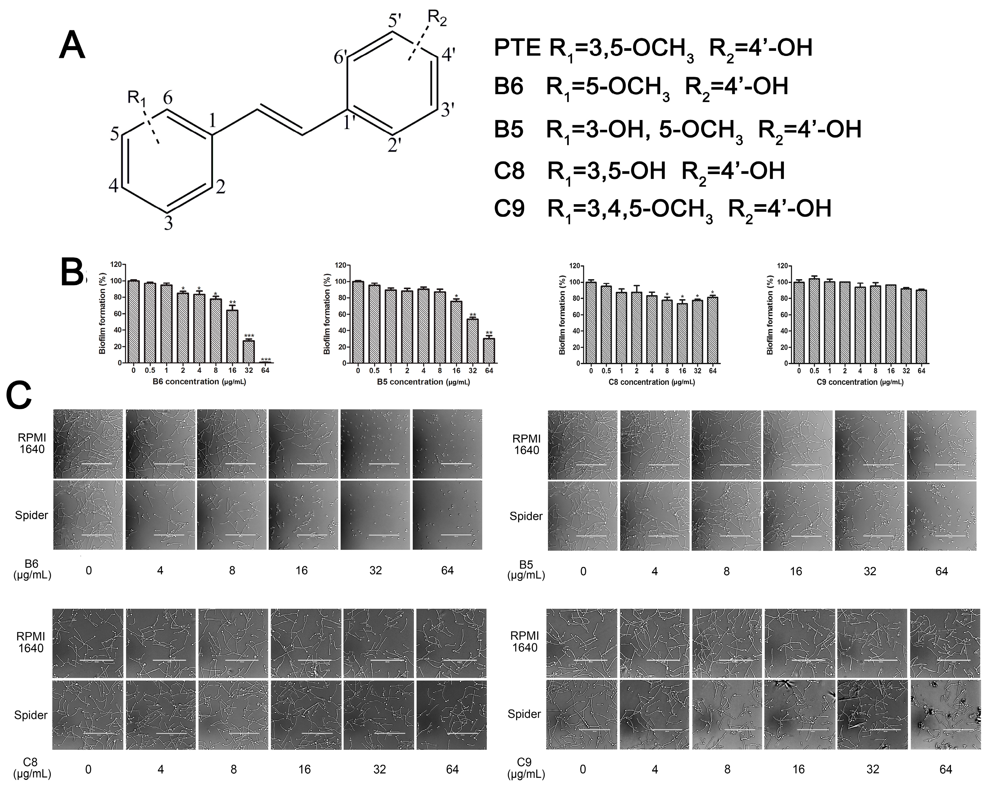 Molecules 22 00360 g005 550
