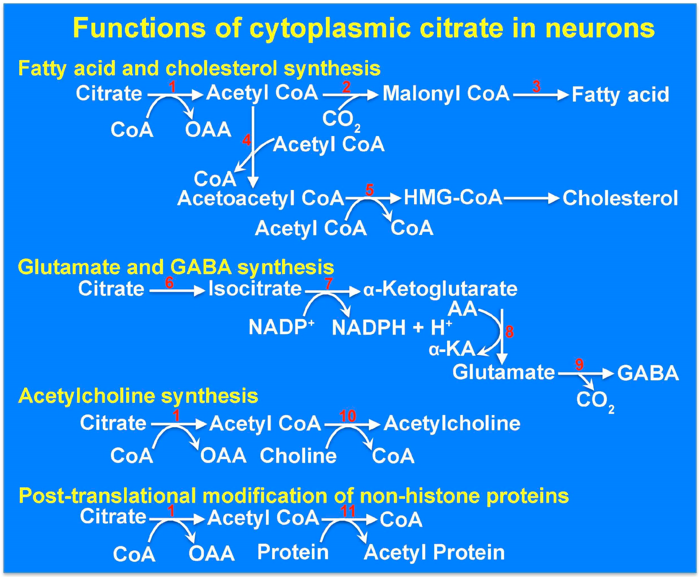 Molecules 22 00378 g002