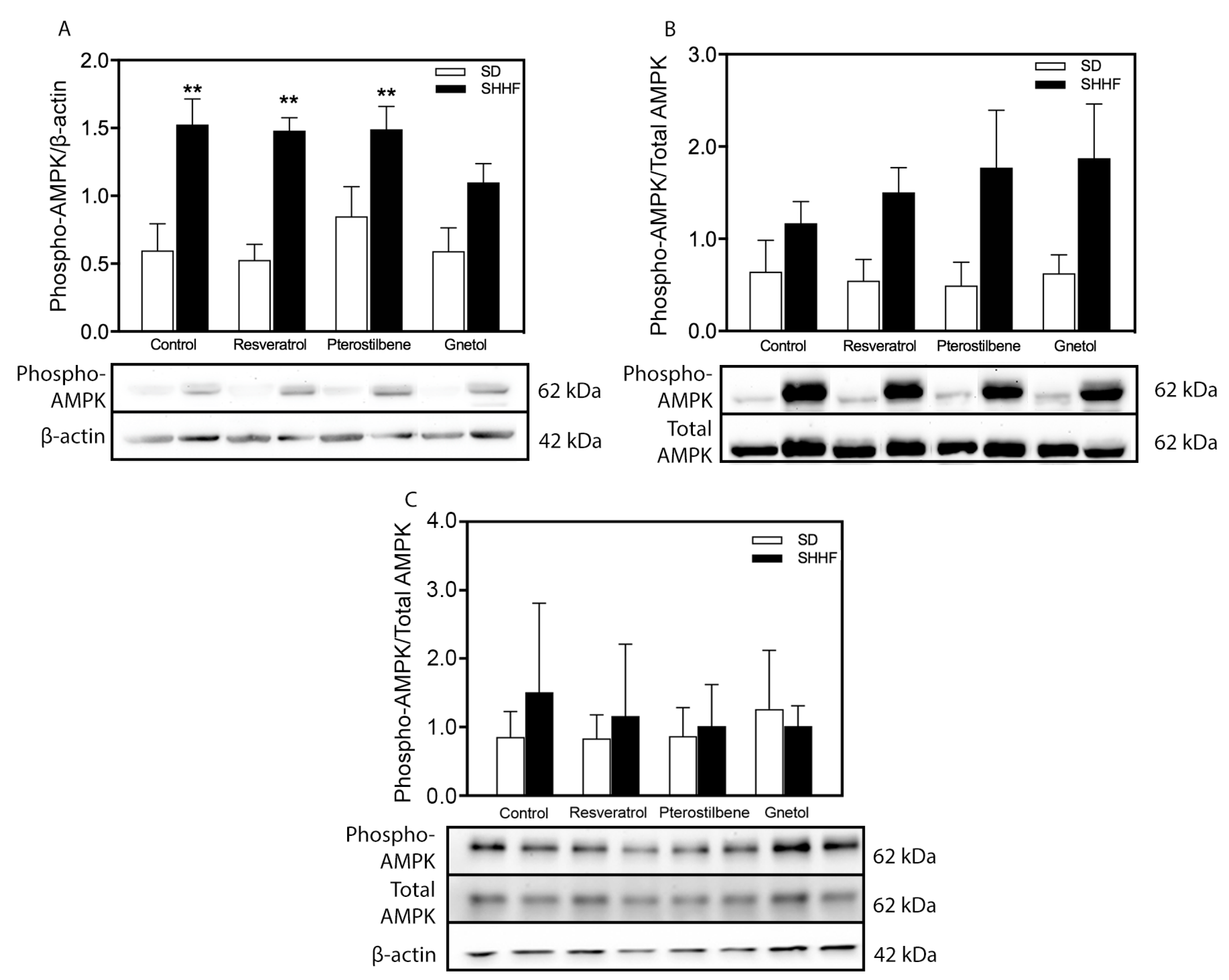 Molecules Free Full Text Peripheral And Cerebral Resistance Arteries In The Spontaneously Hypertensive Heart Failure Rat Effects Of Stilbenoid Polyphenols