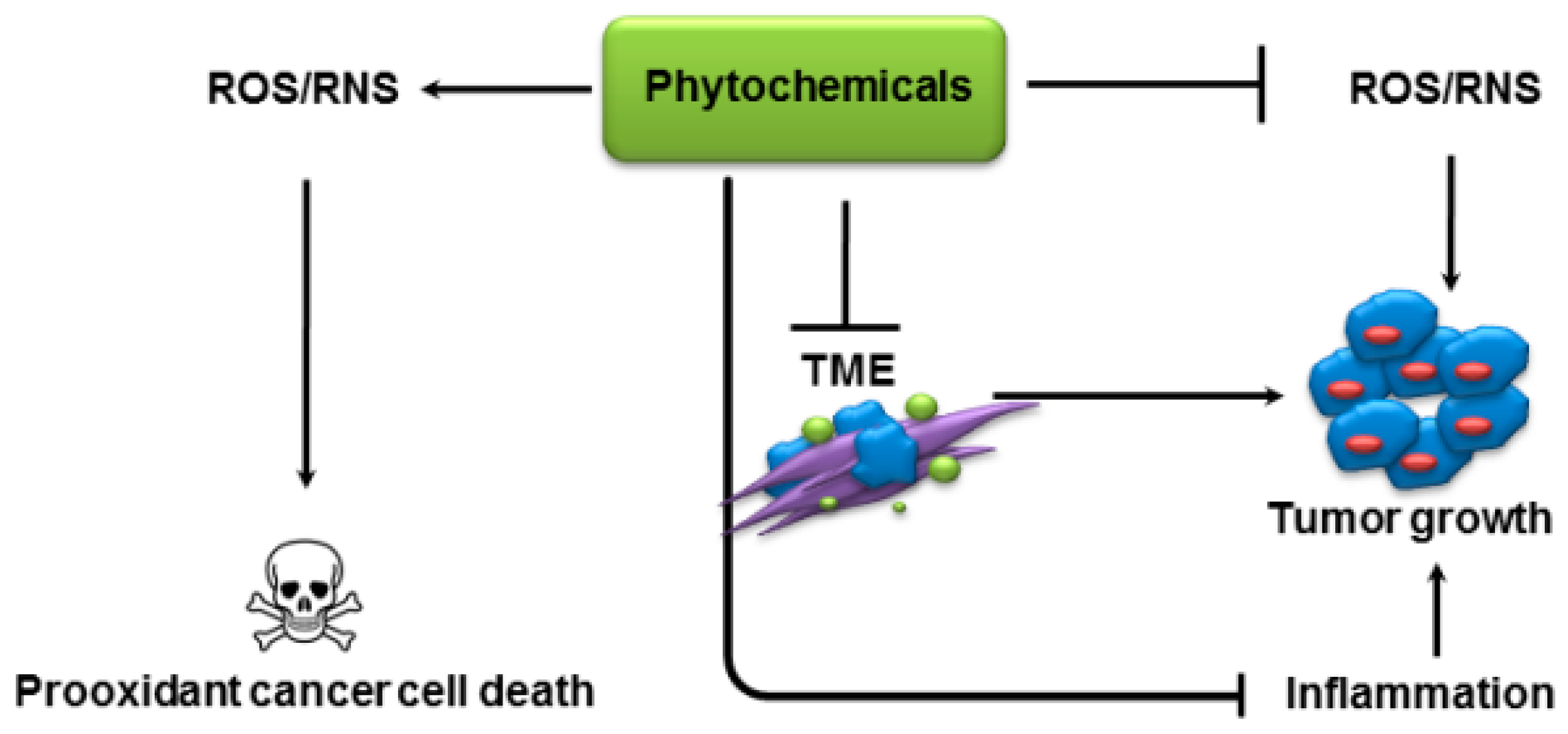 Molecules 22 00395 g002