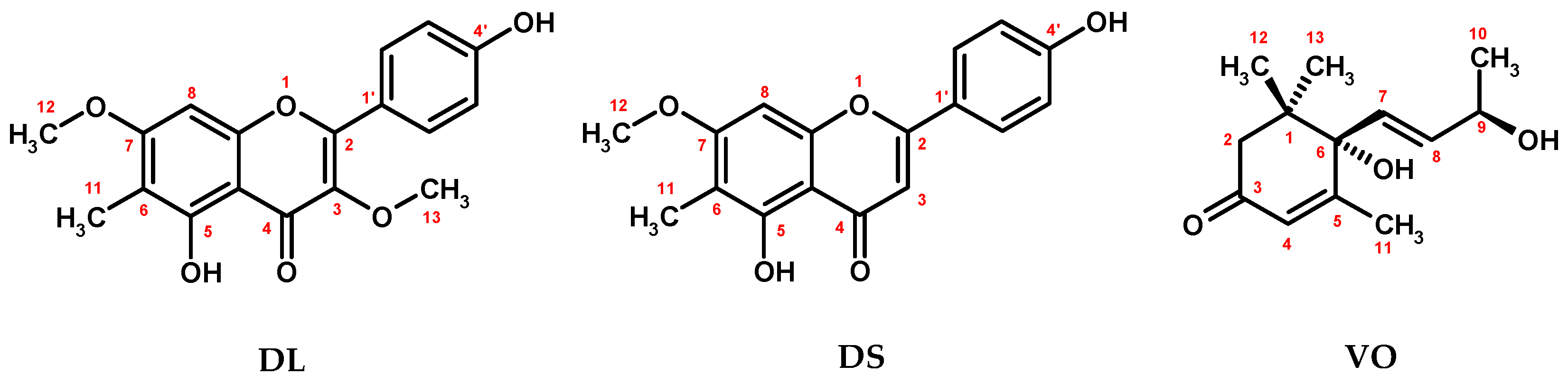 Molecules Free FullText Metabolite Profiling of Eastern Teaberry