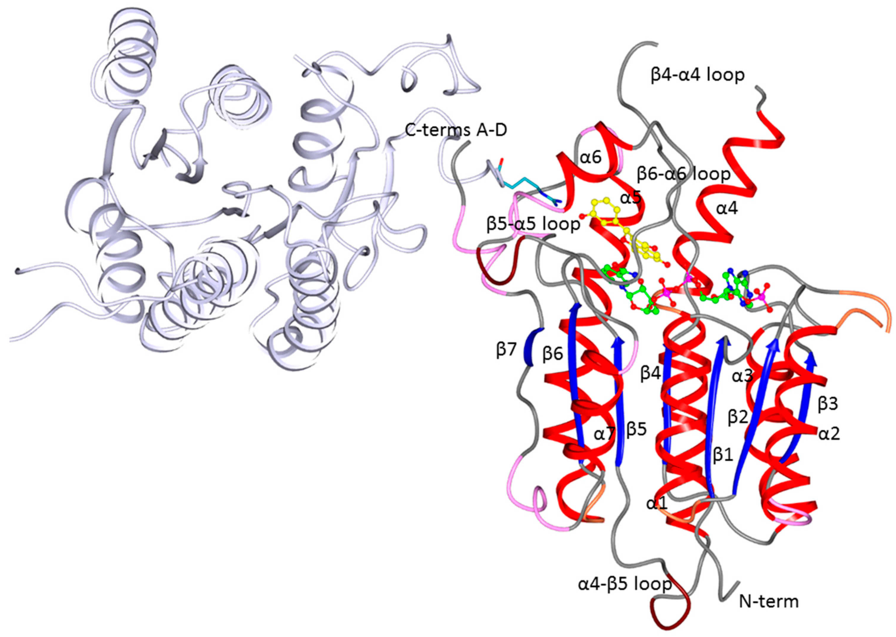 Molecules 22 00426 g002