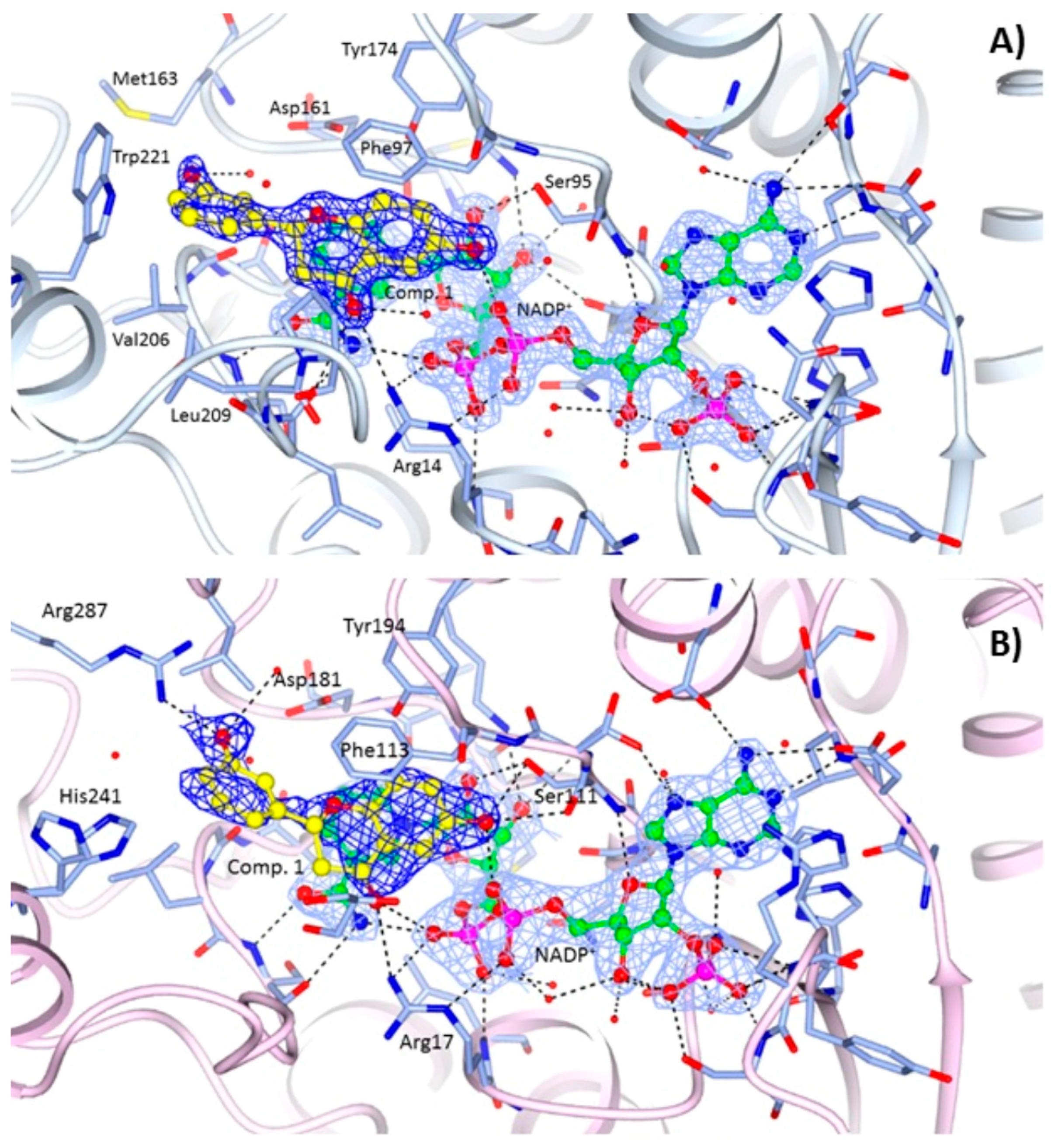 Molecules 22 00426 g003a