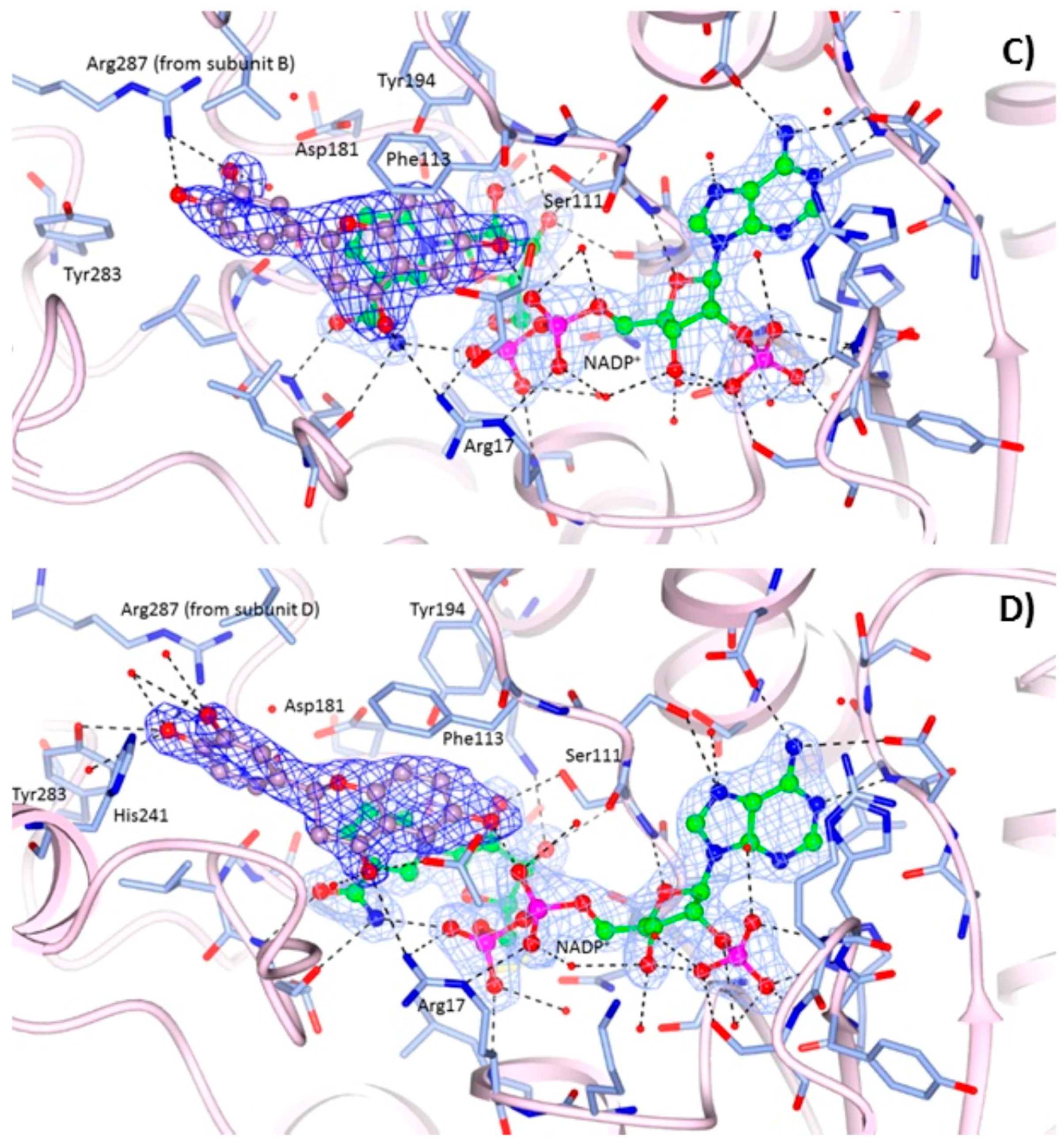 Molecules 22 00426 g003b