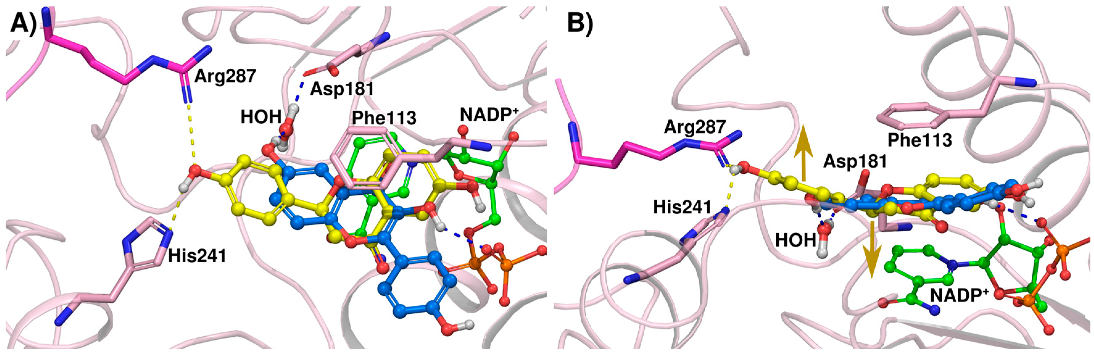 Molecules 22 00426 g005
