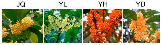 Molecules March 2017 Browse Articles