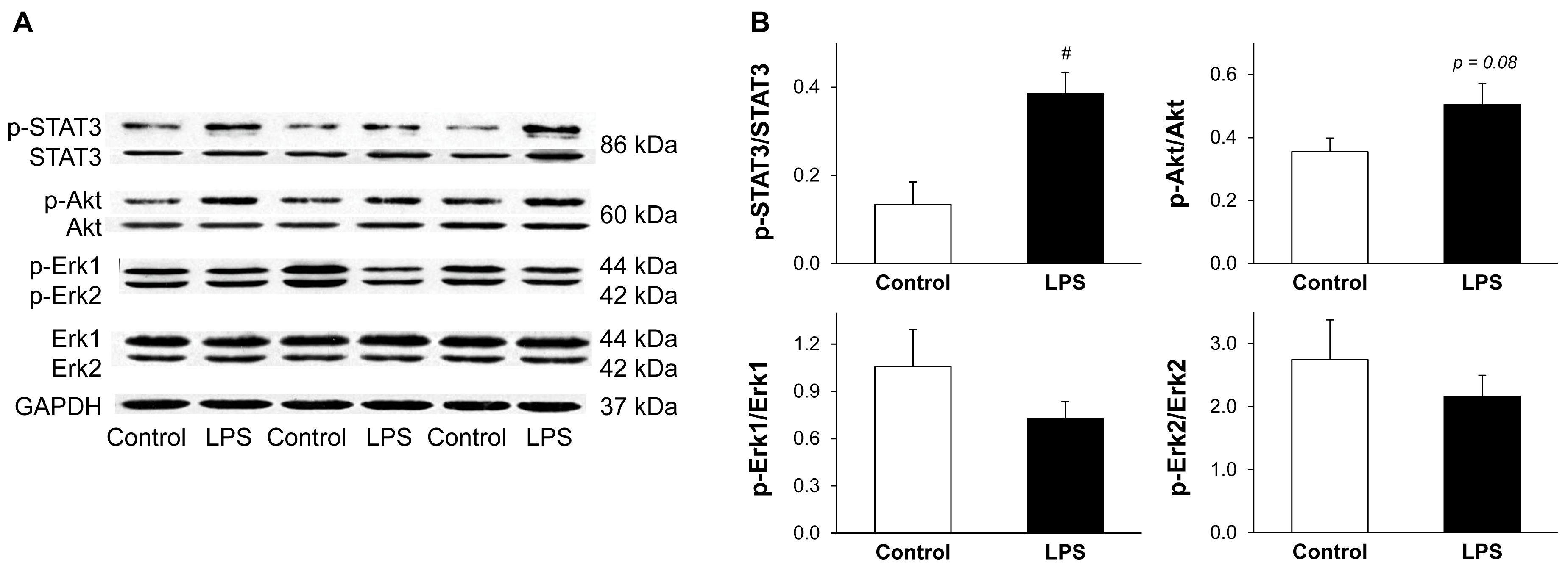 Molecules 22 00433 g005