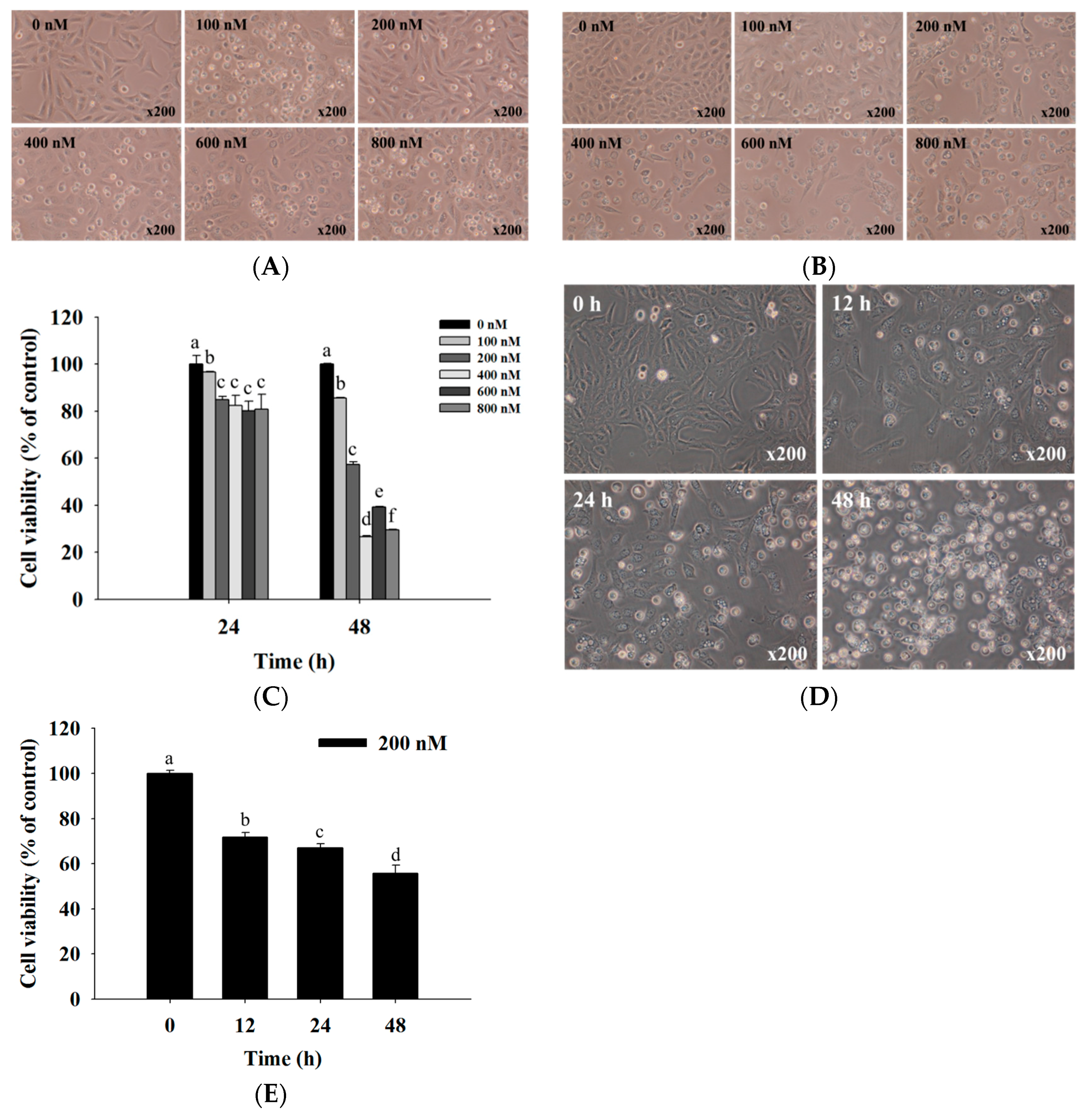 Molecules Free Full Text Bufalin Induces Apoptosis Of Human Osteosarcoma U 2 Os Cells Through Endoplasmic Reticulum Stress Caspase And Mitochondria Dependent Signaling Pathways Html