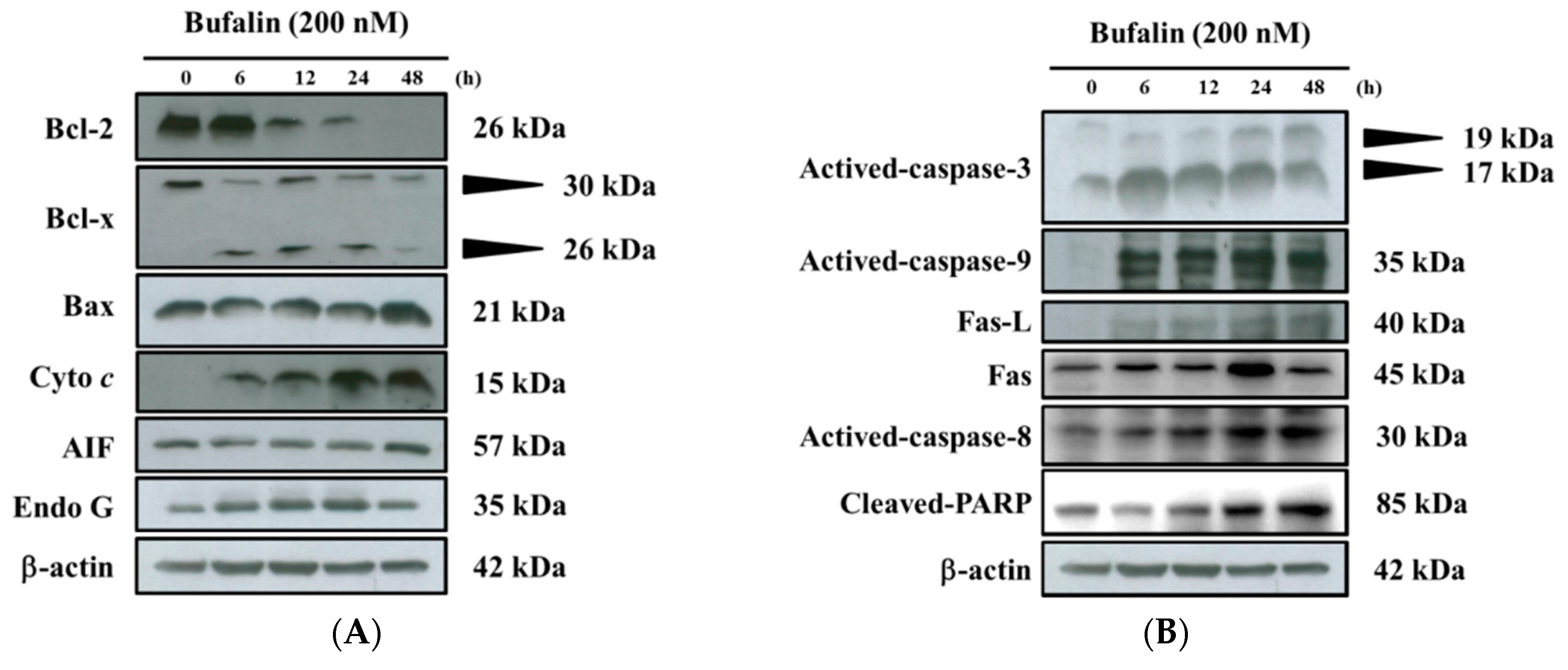 Molecules 22 00437 g006a