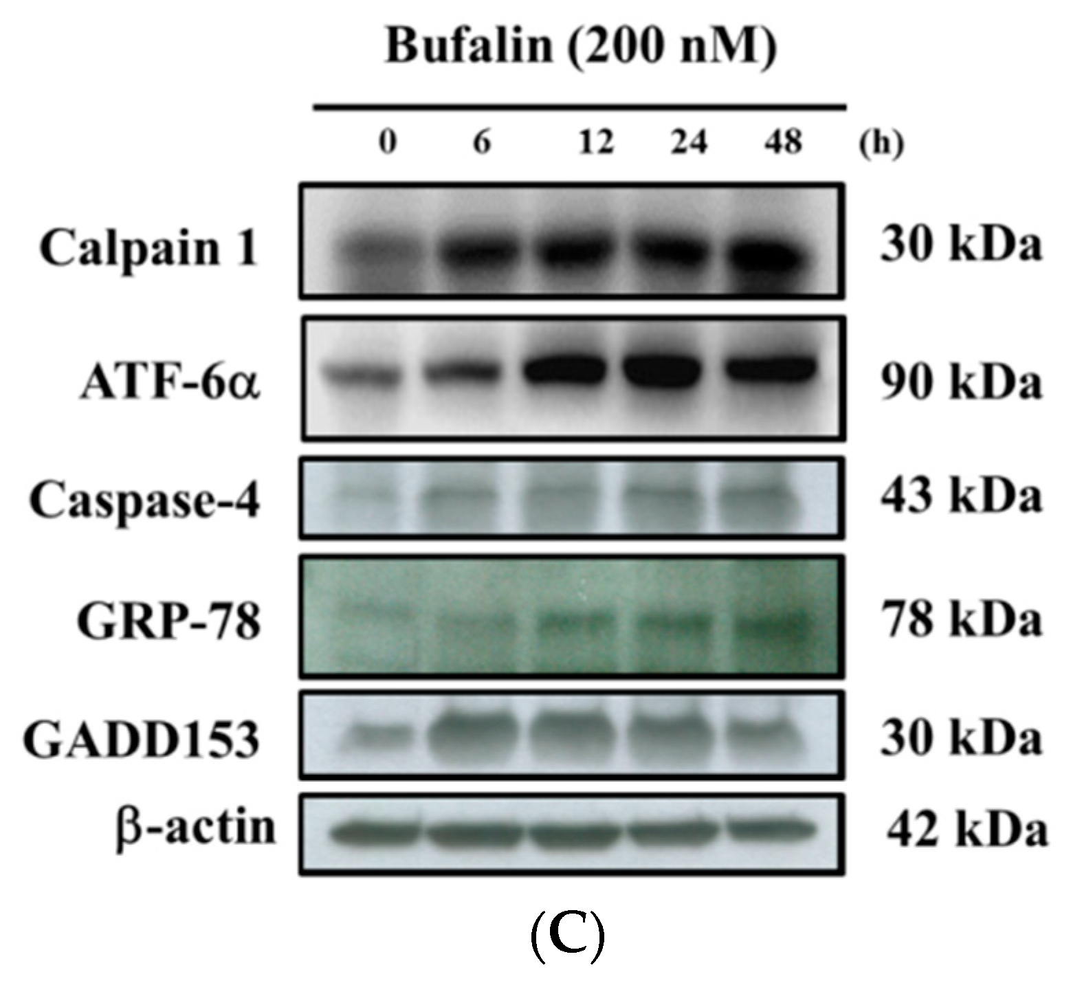 Molecules 22 00437 g006b