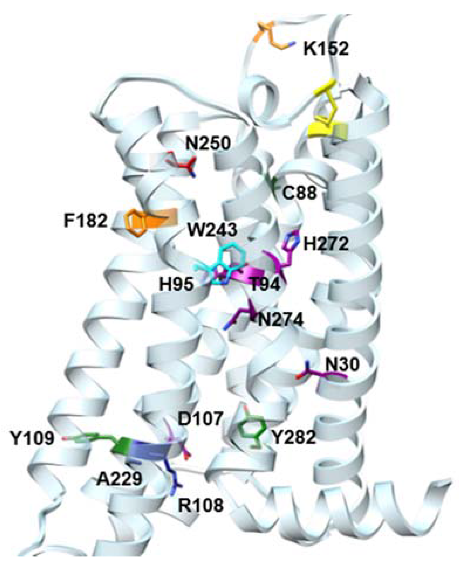 Molecules 22 00449 g003