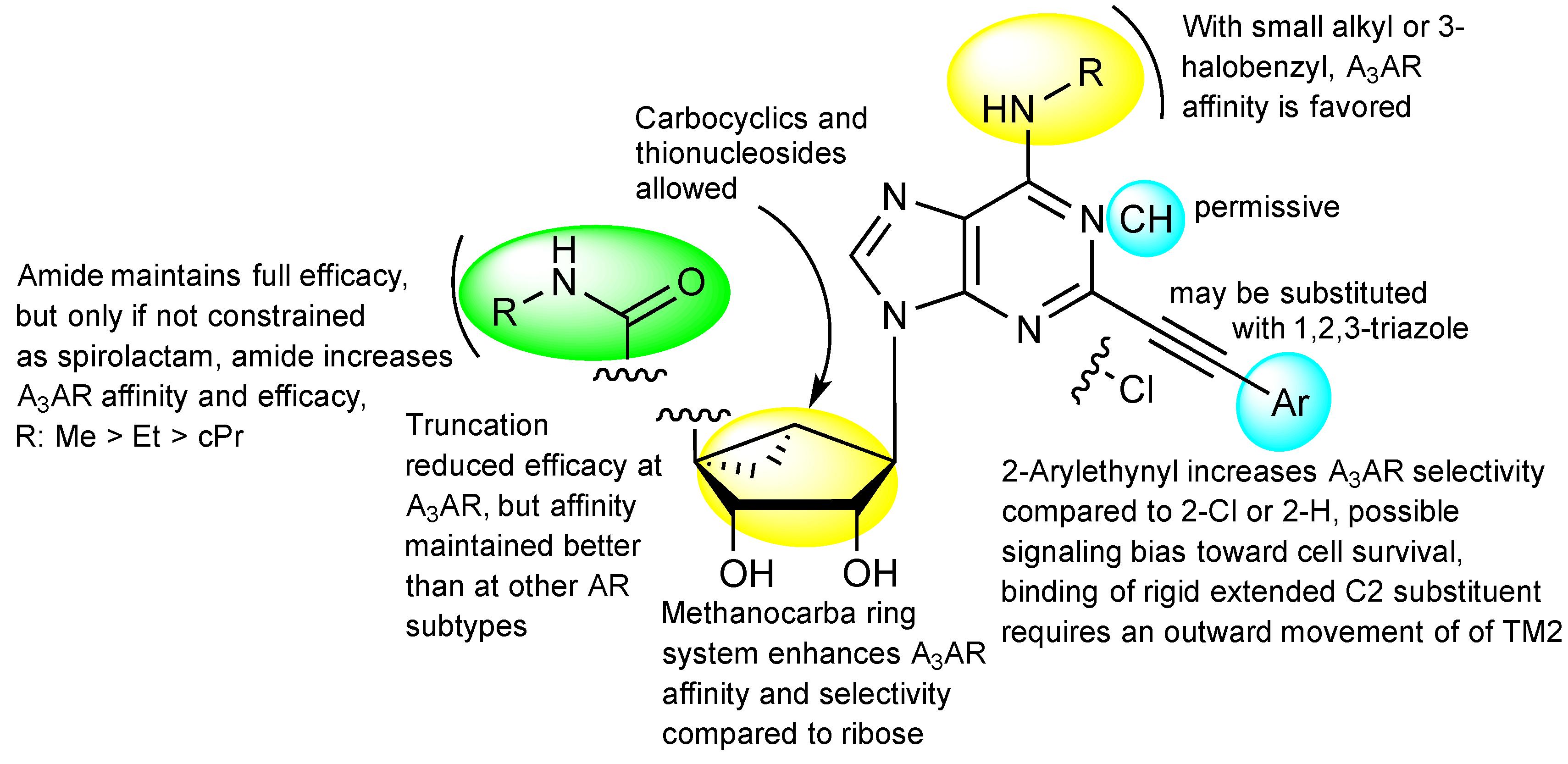 Molecules 22 00449 g010