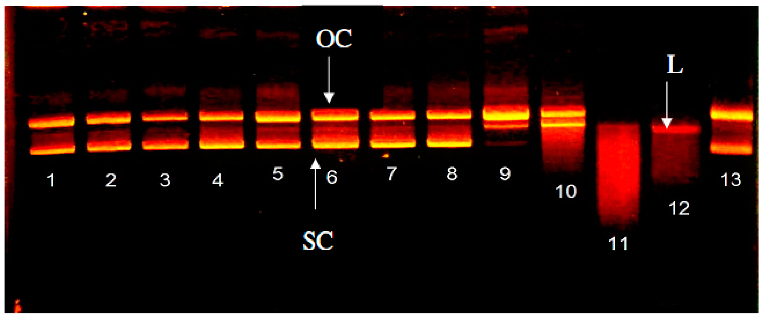 Molecules 22 00456 g003