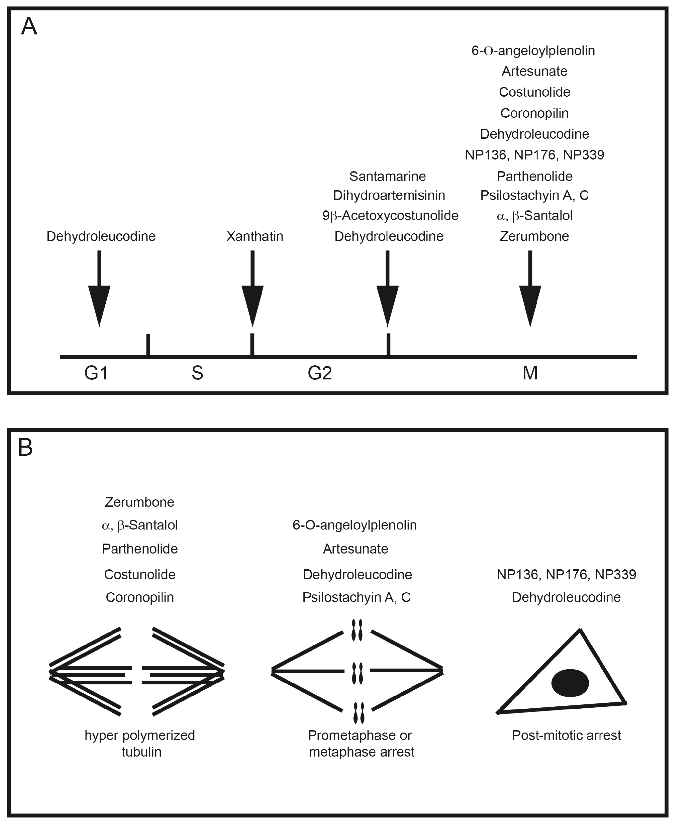 Emerging Anti-Mitotic Activities and Other ... Biology Diagrams