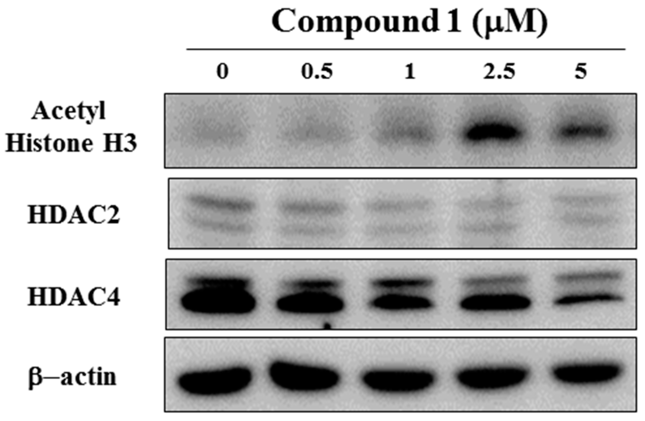 Molecules 22 00472 g005