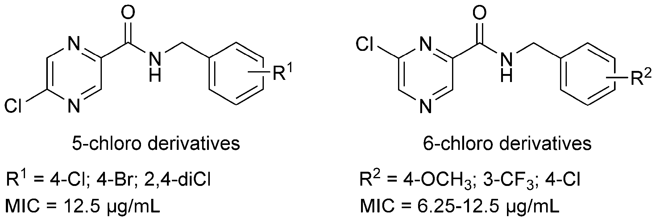 3-Substituted N-Benzylpyrazine-2-carboxamide Derivatives 