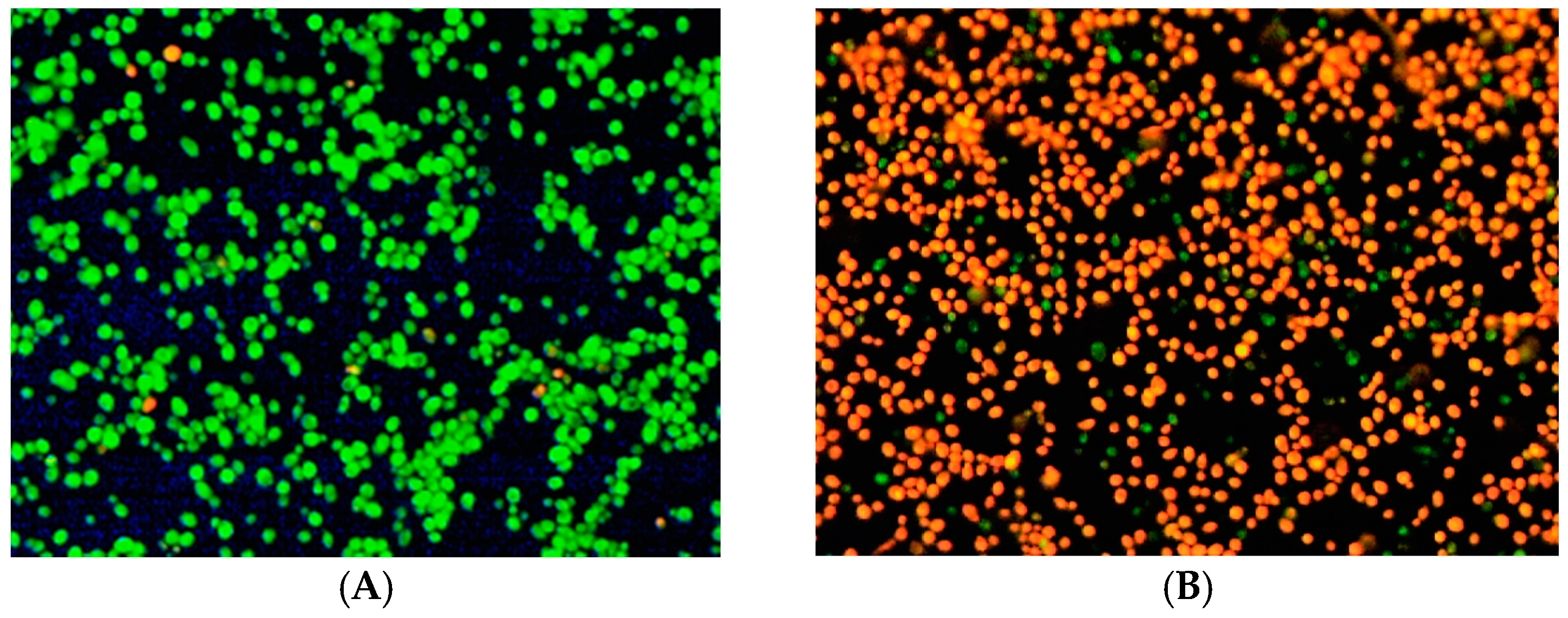 Molecules 22 00507 g003