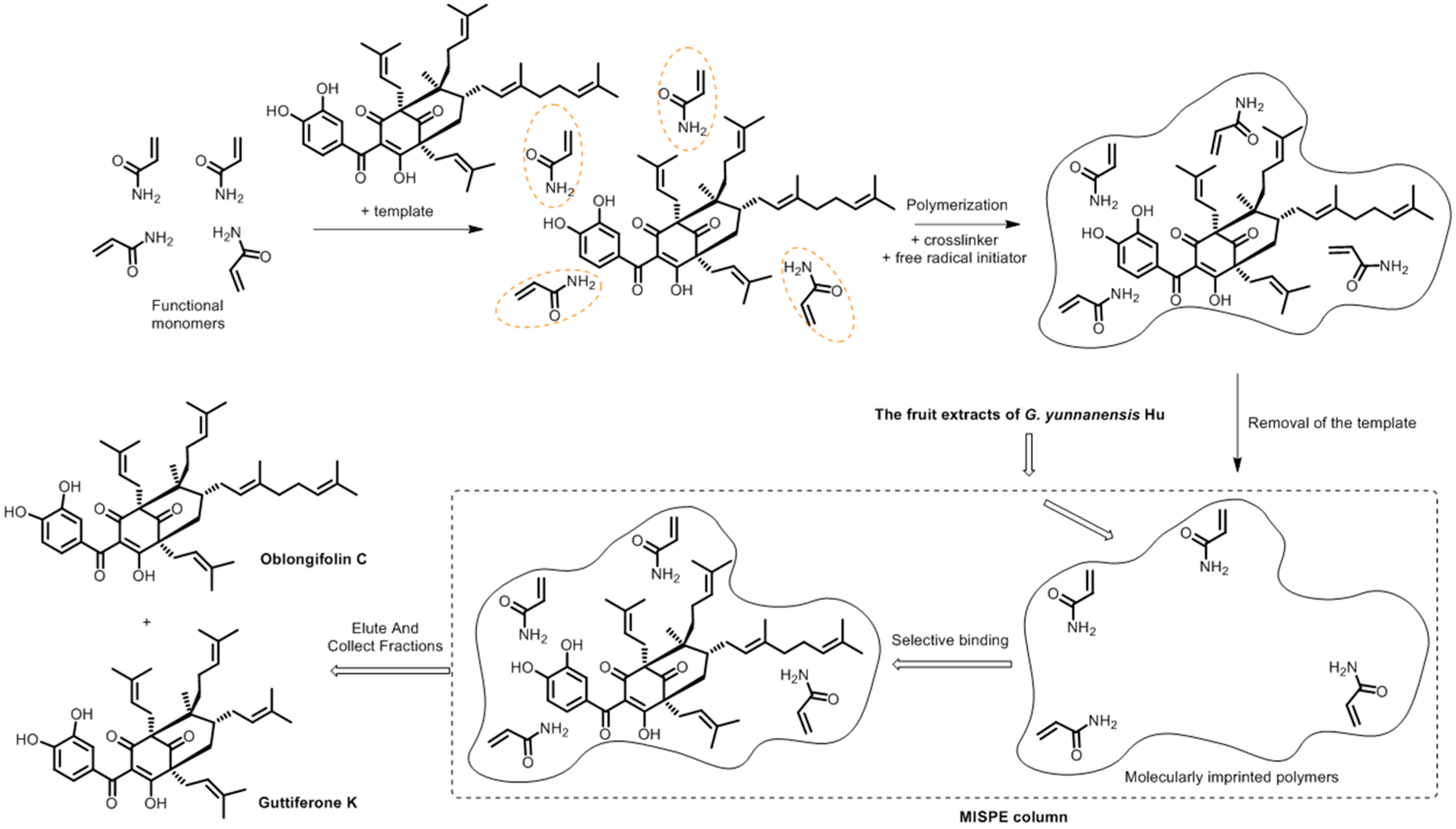 Molecules 22 00508 g001