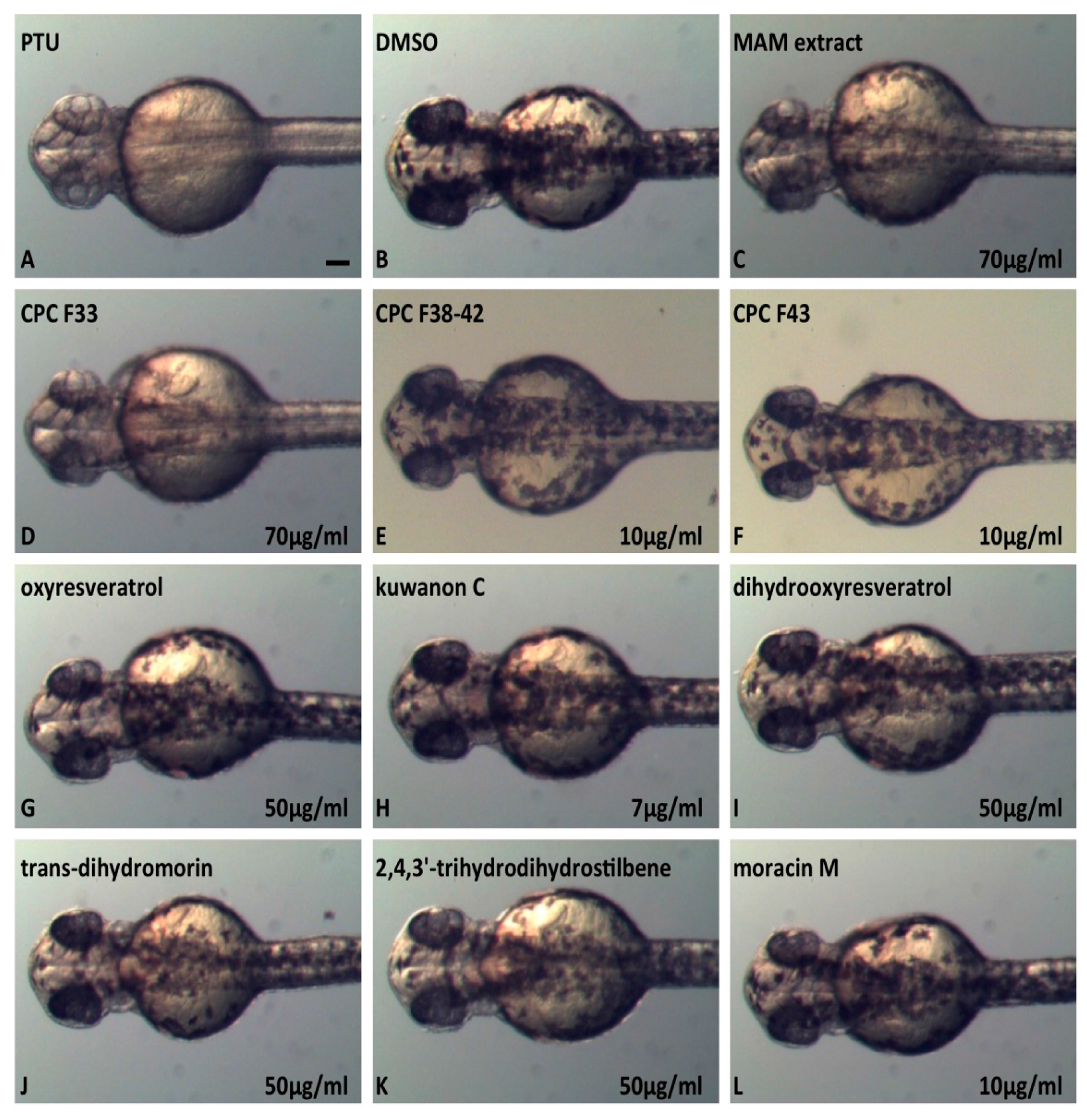 Molecules 22 00514 g005