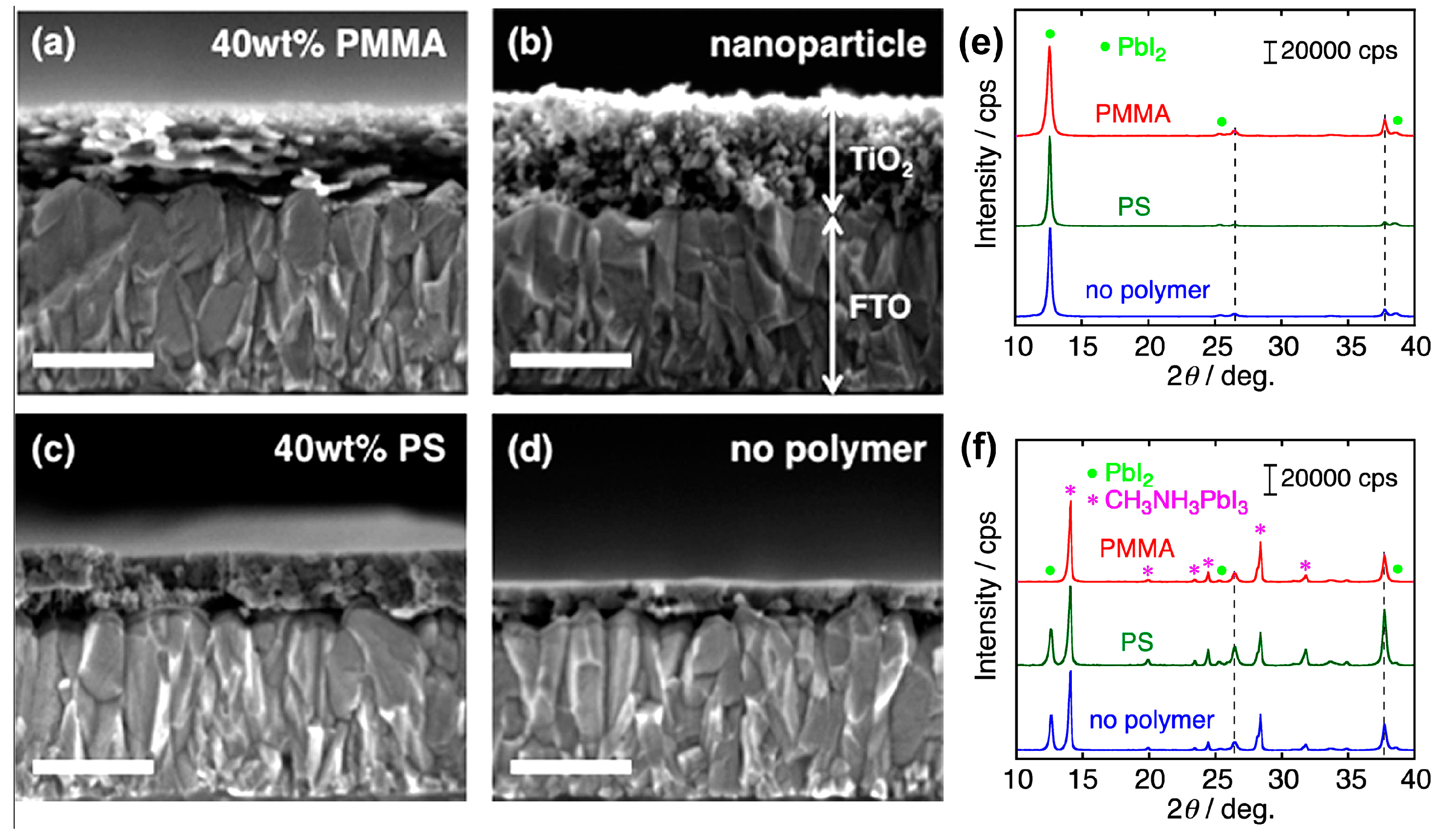 Molecules 22 00520 g014
