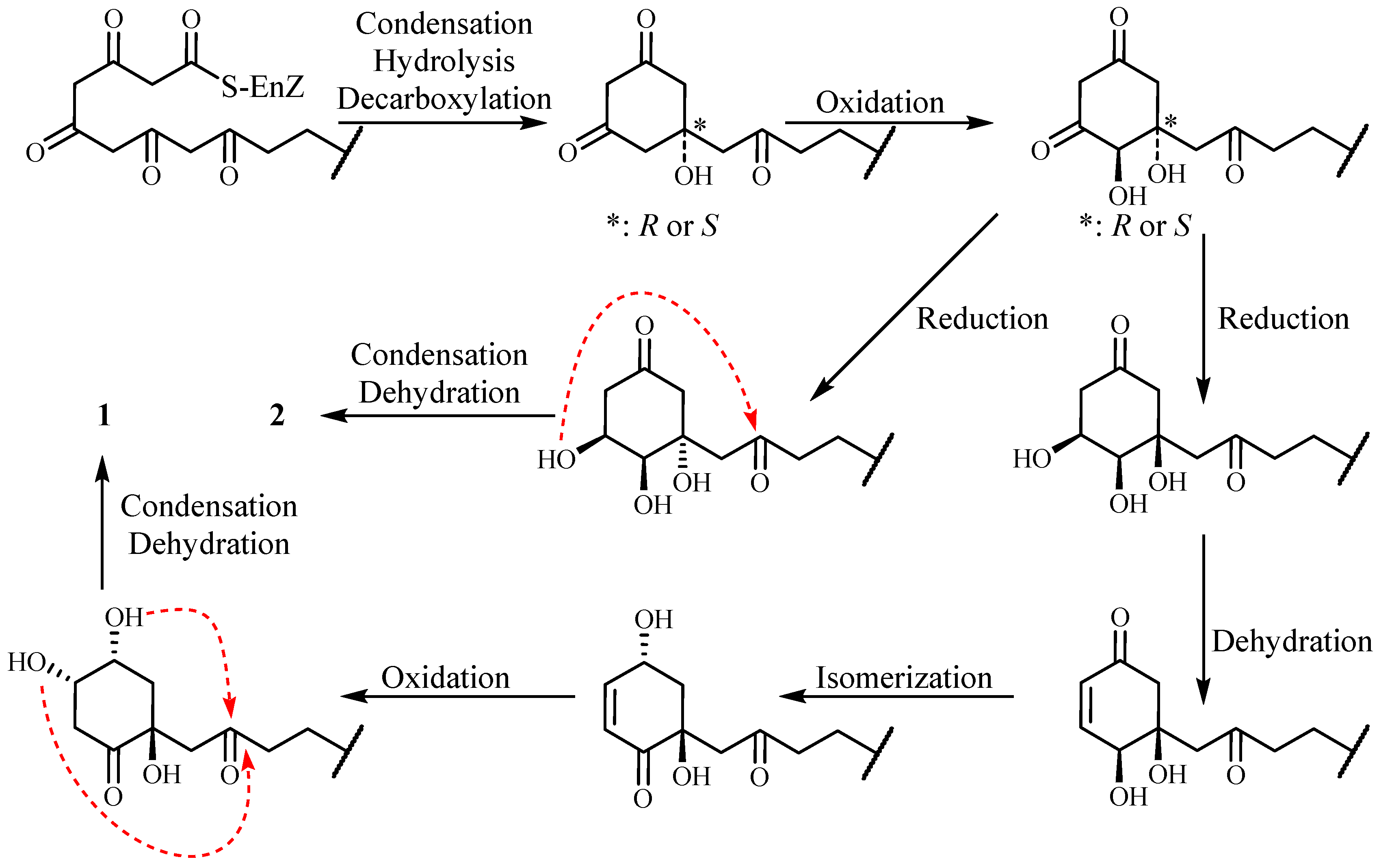 Molecules 22 00531 g004