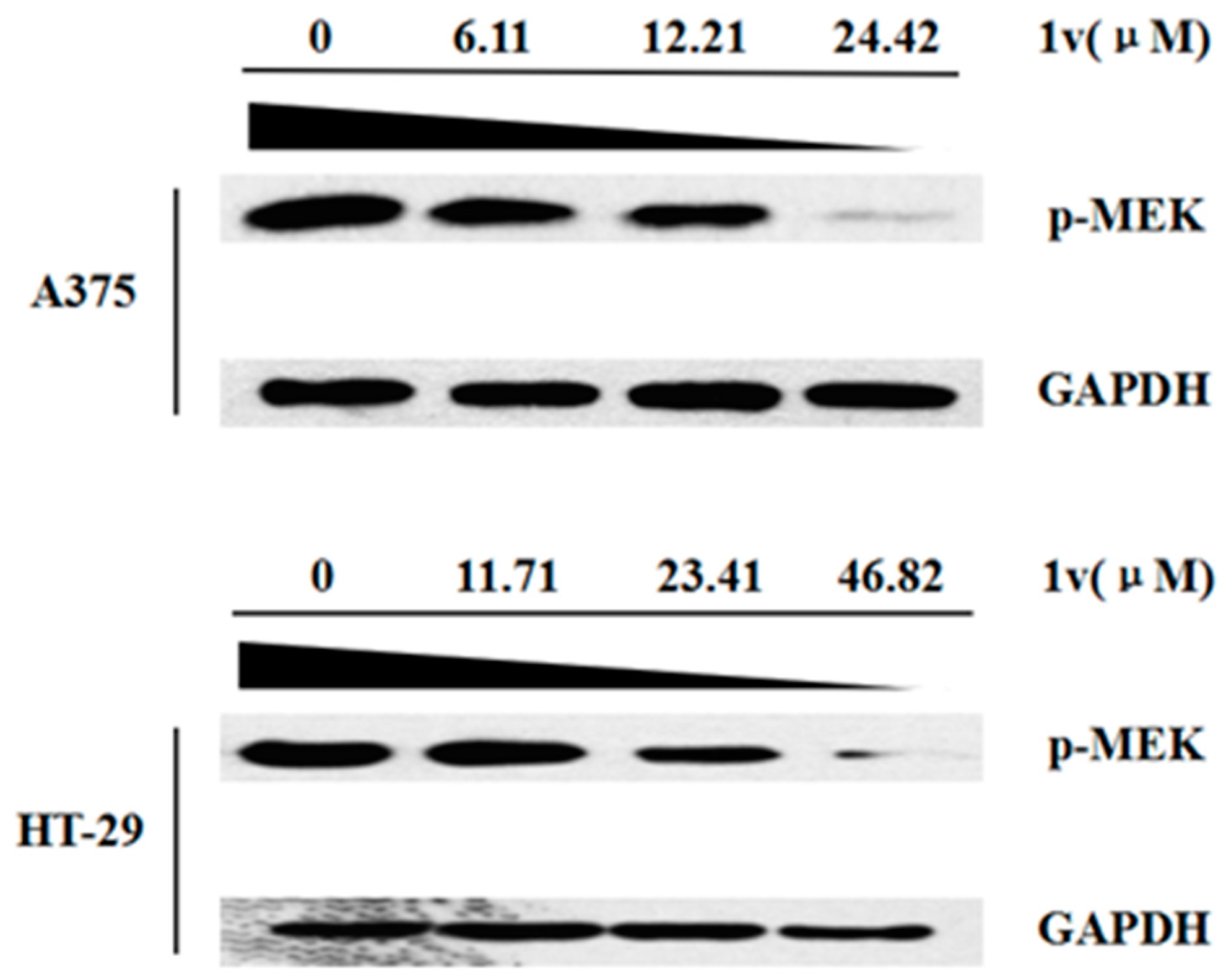 Molecules 22 00542 g005