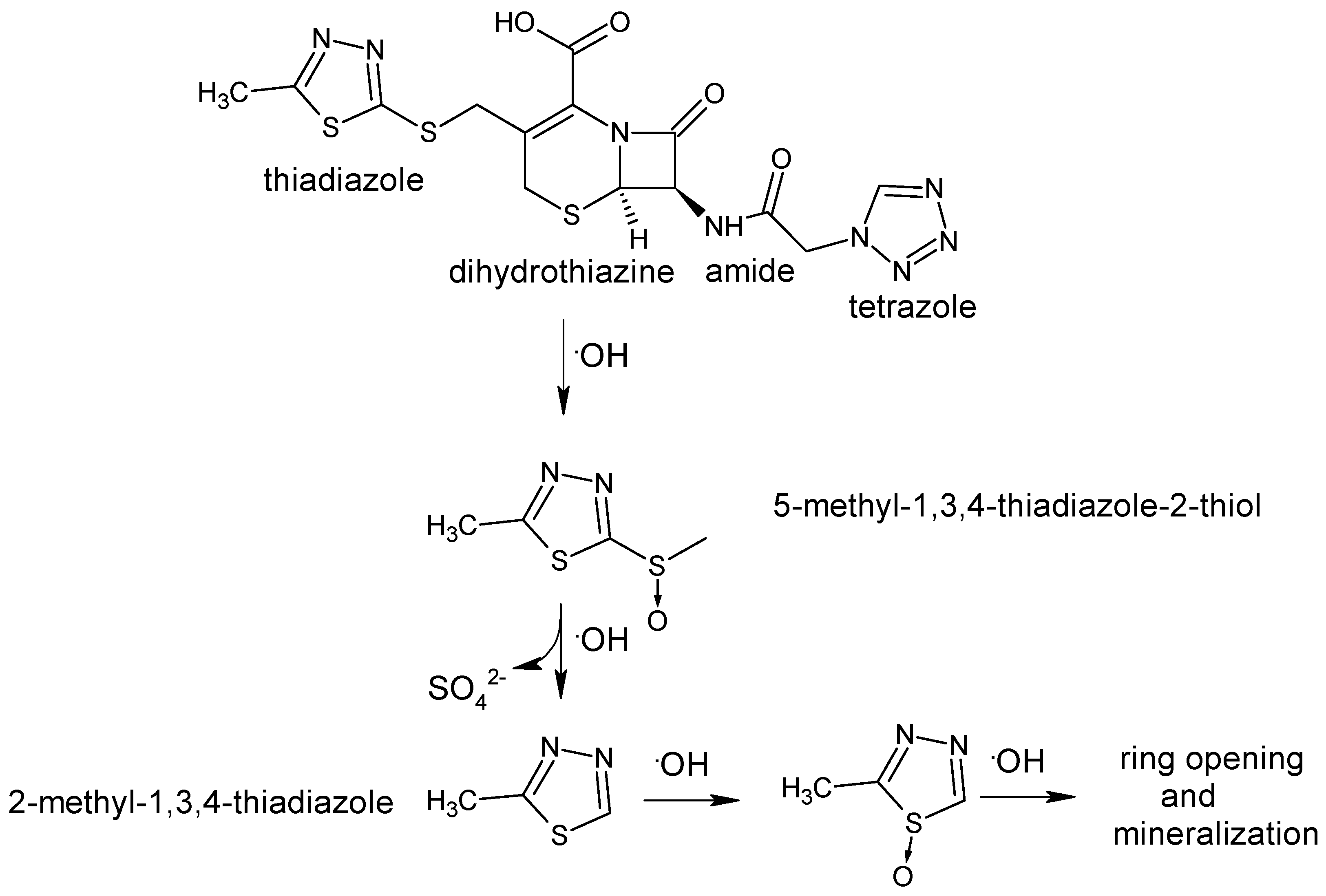 Molecules 22 00556 g004