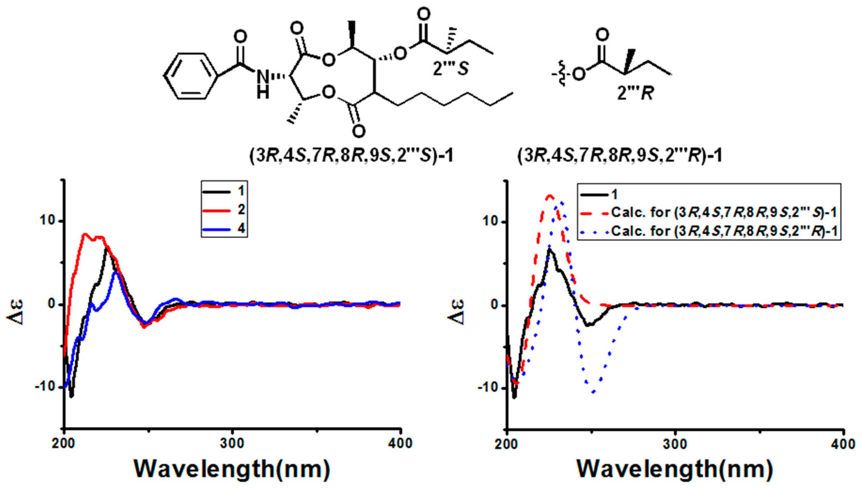 Molecules 22 00557 g004